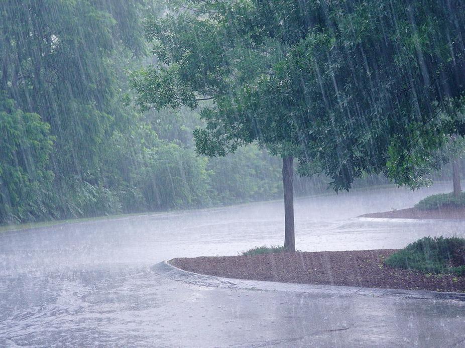 Rain Alarm 555 Timer Project