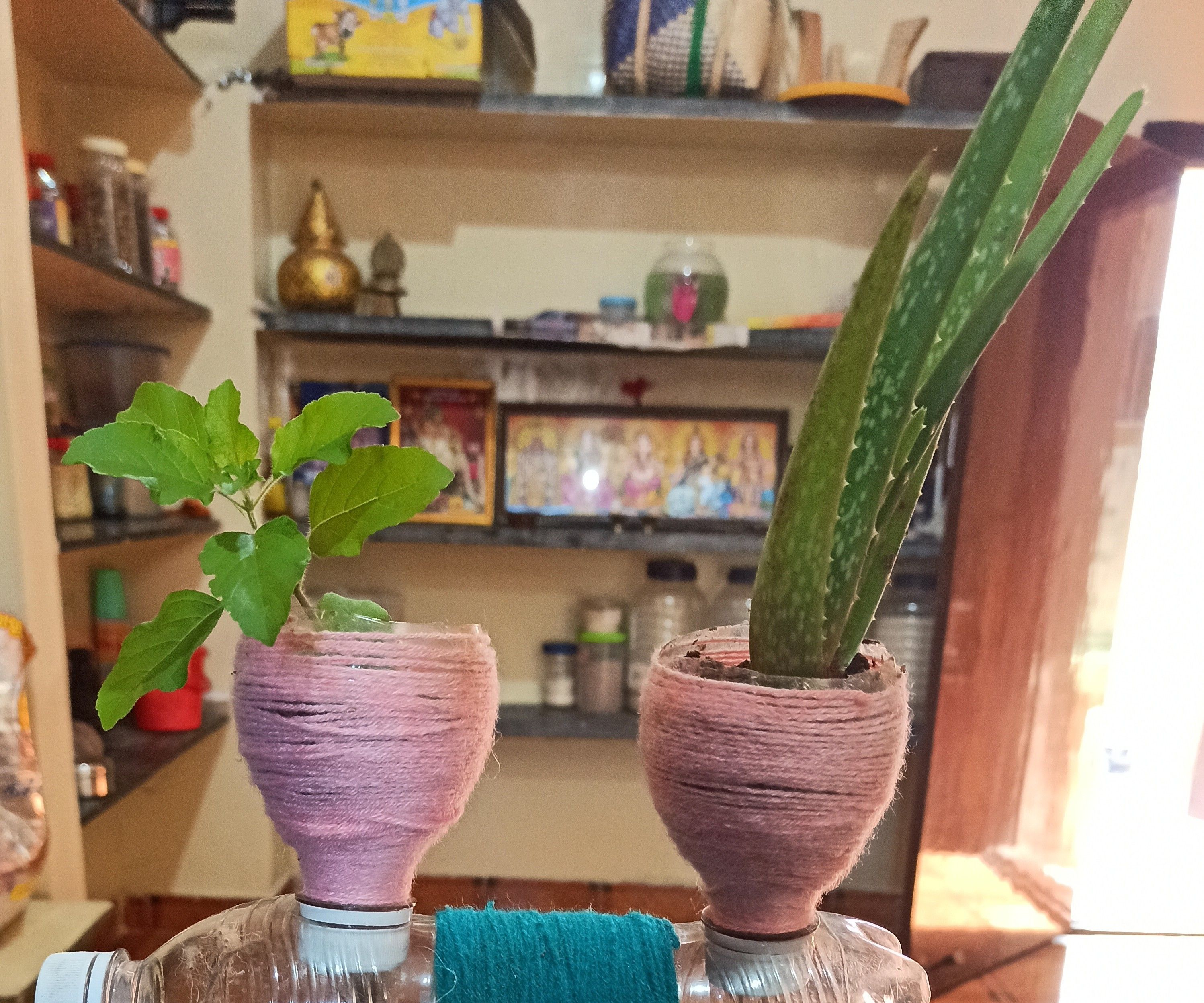 SELF WATERING PLANT SYSTEM