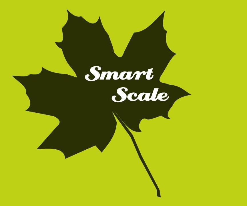Smart Scale