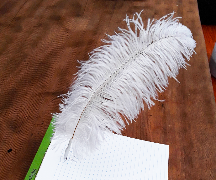 Magic Writing Quill