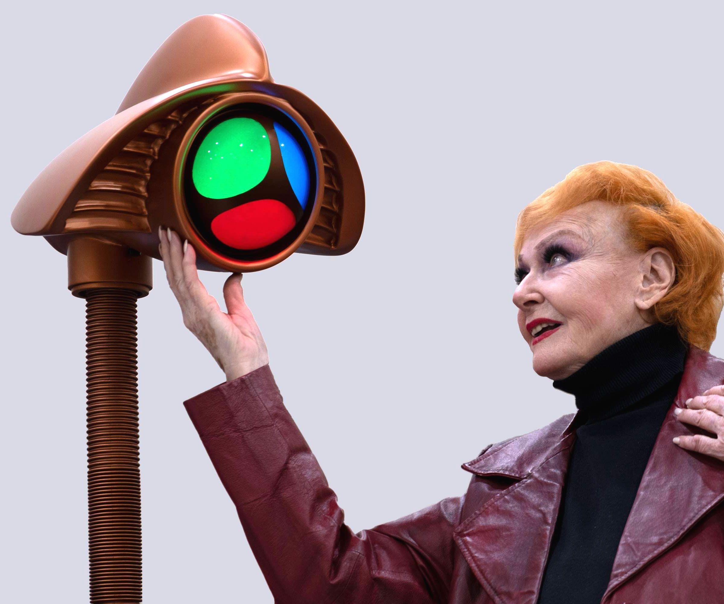 Build a Martian Electronic Eye