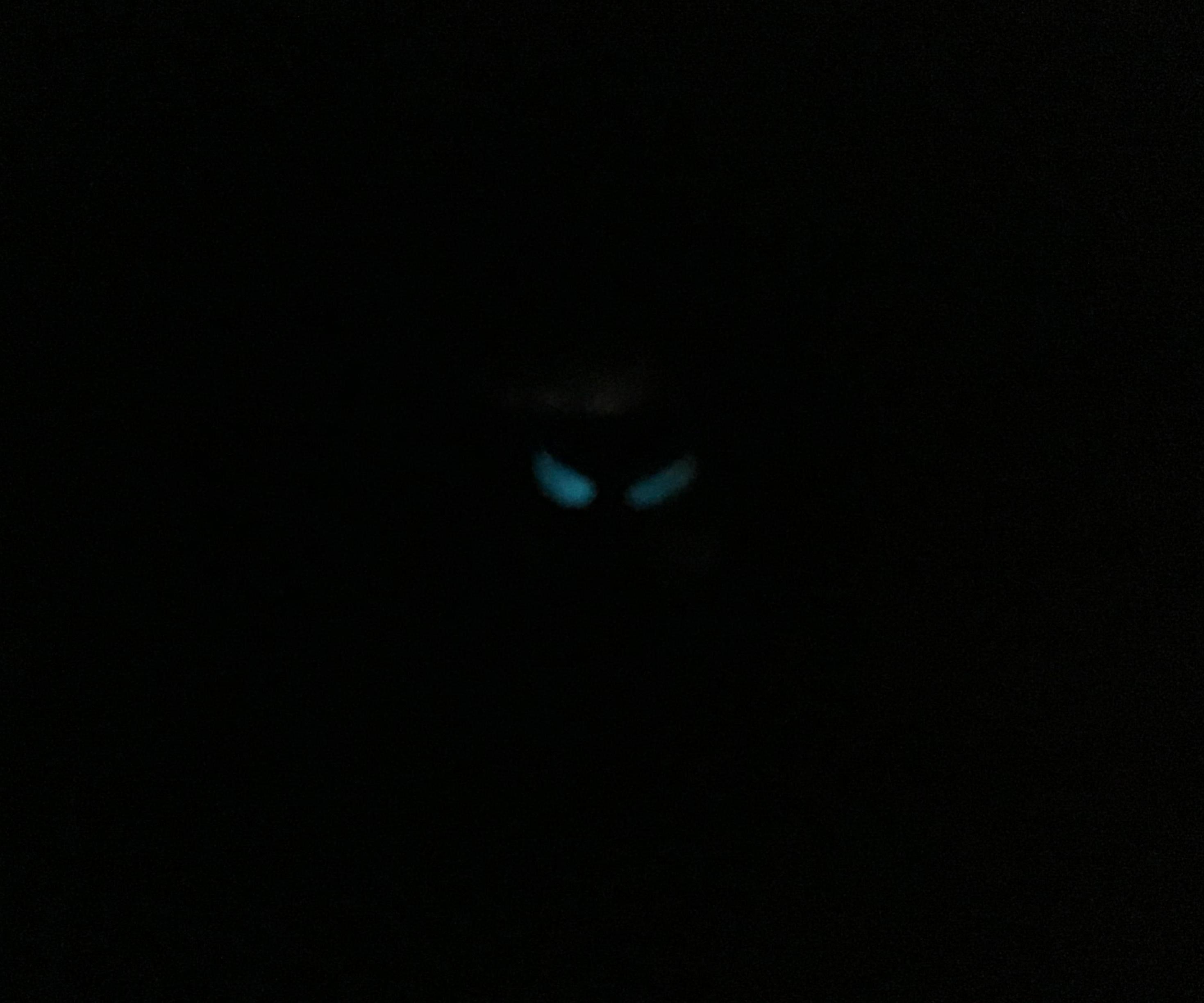 DIY Scary Eyes to Scare People