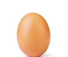 Egg