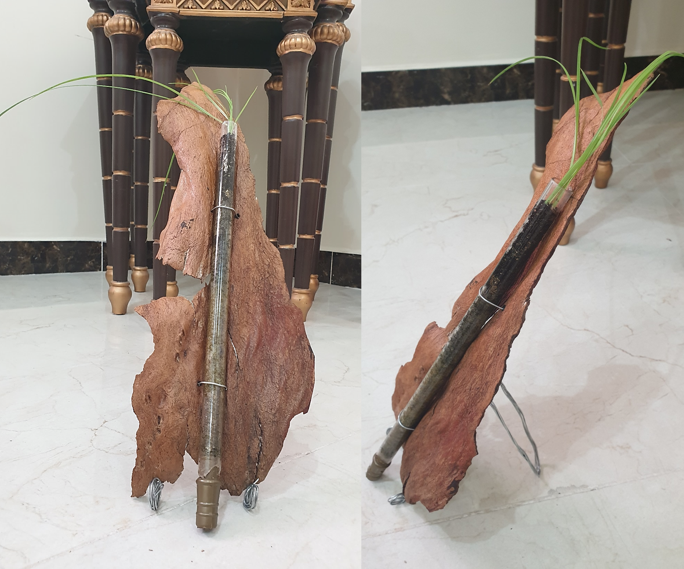 Plant in Glass Pipe With the Wood Bark Air Fresheners