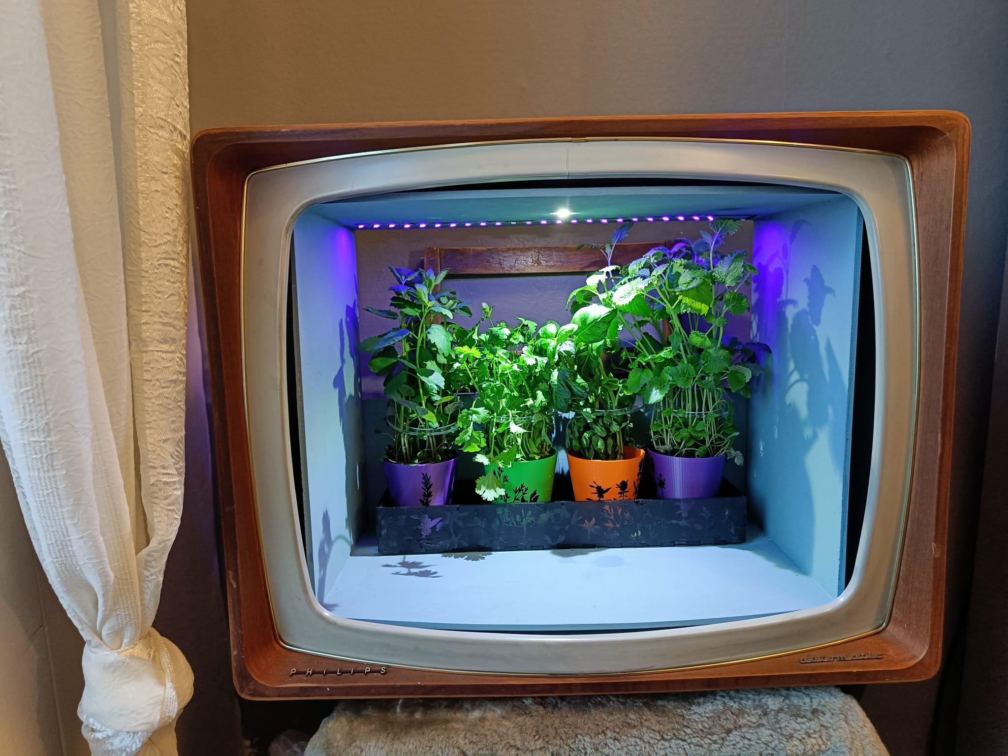 Automatic Plant Watering System