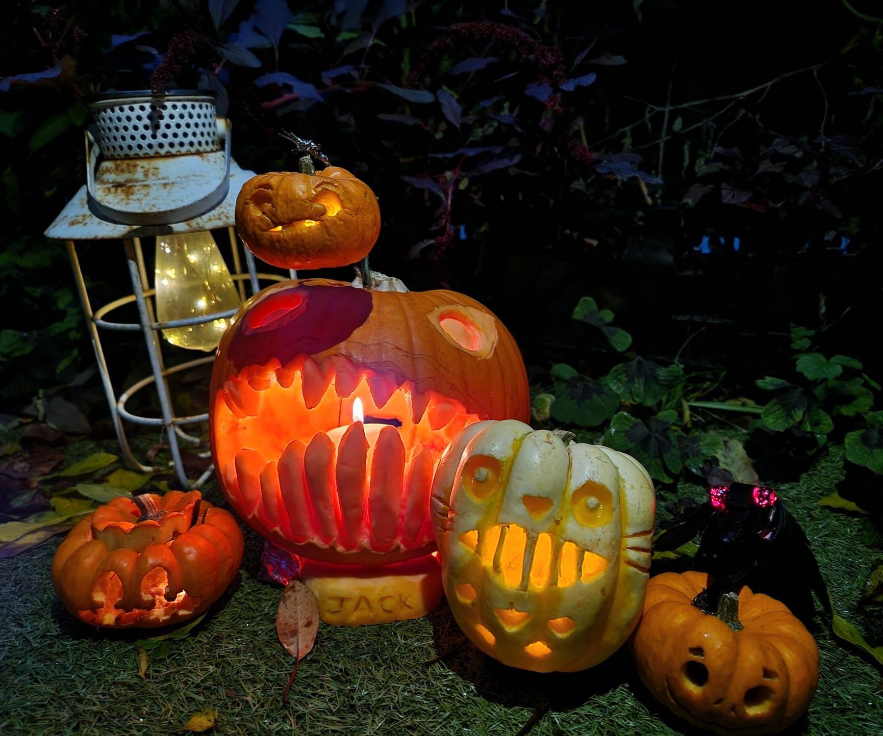 Carving Made Easy! Pumpkin 🎃