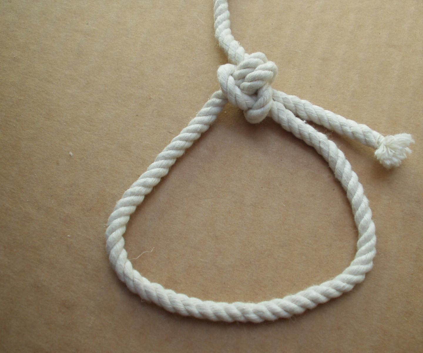 Little Sister Bowline