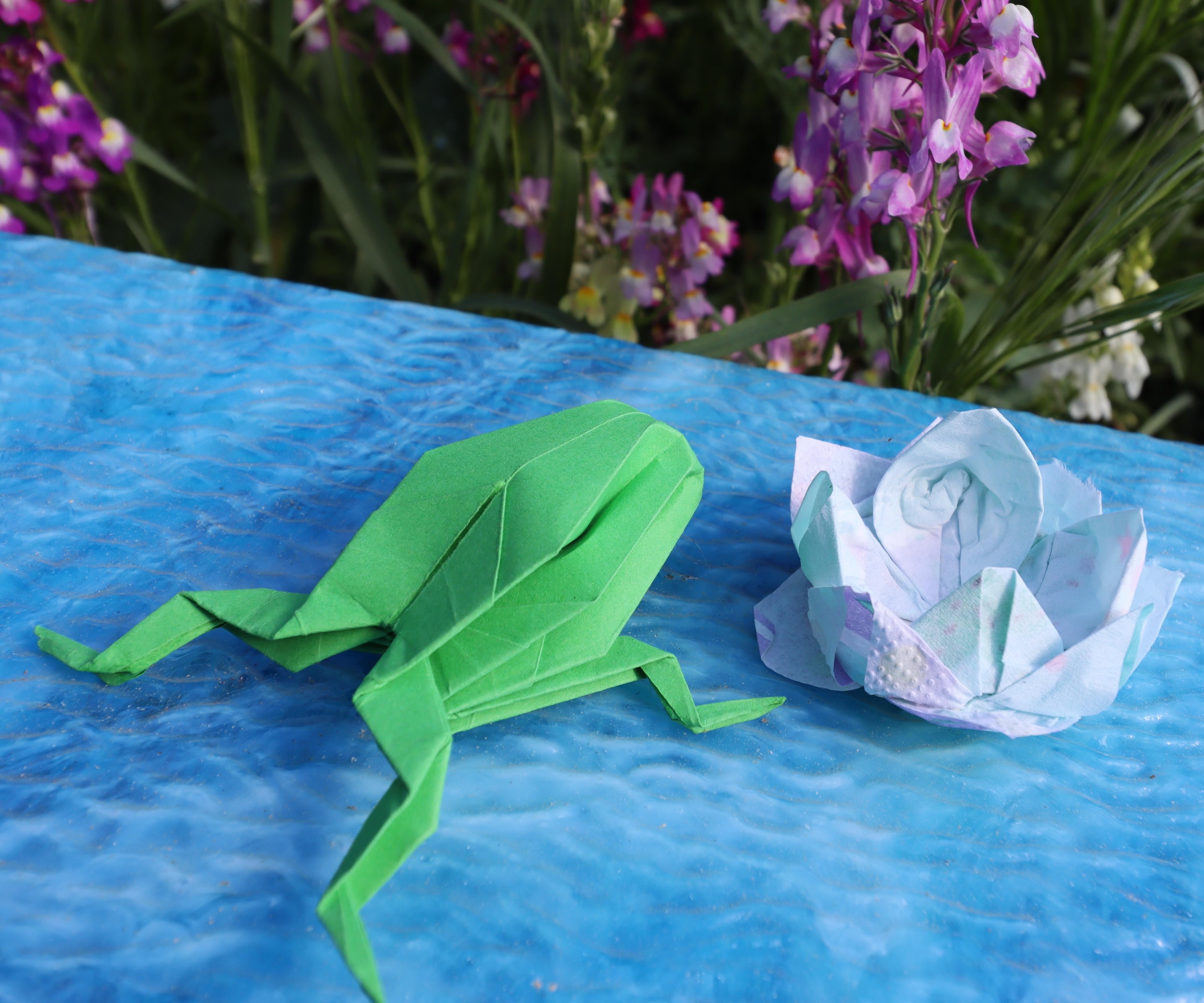 Origami Frog