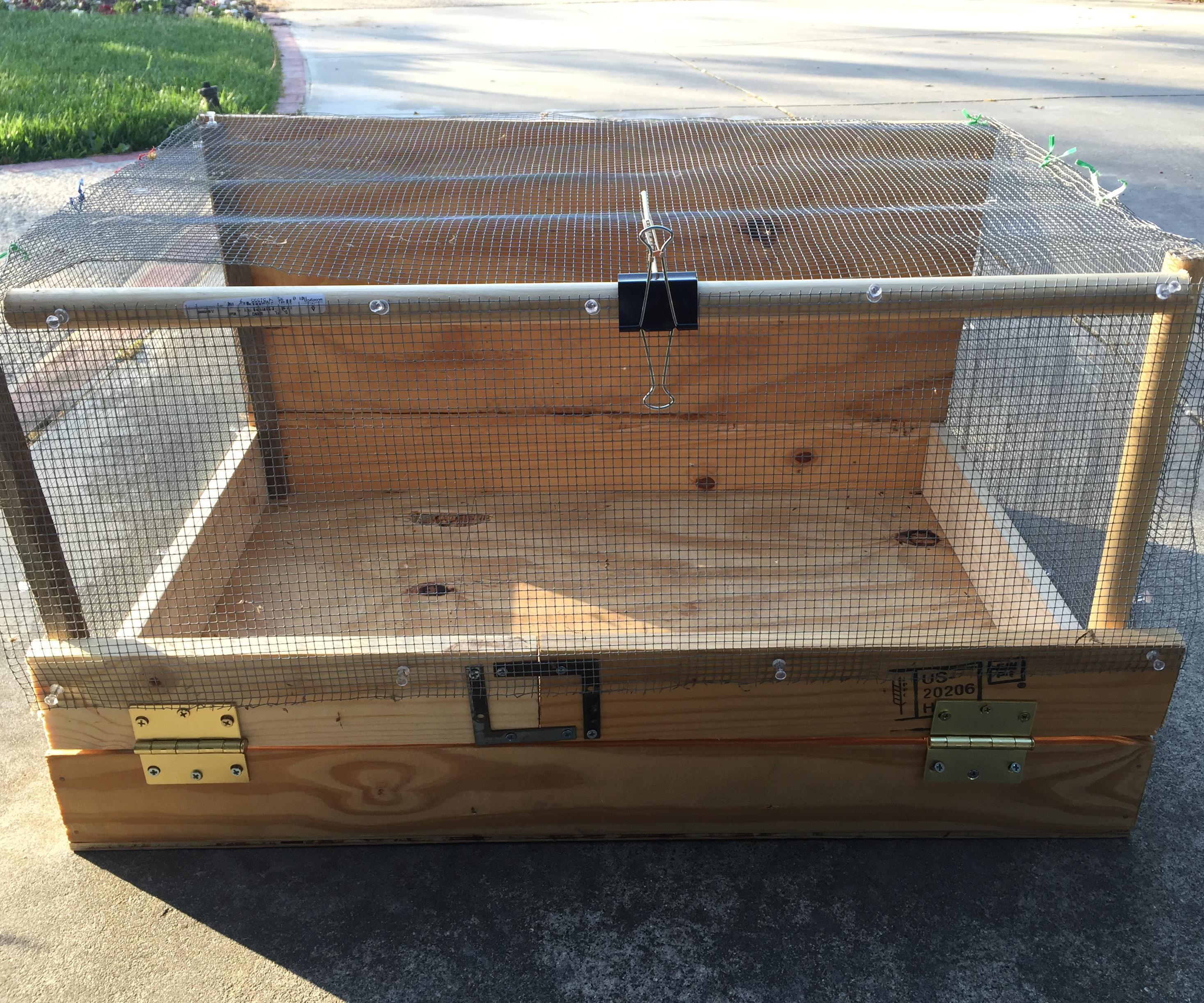 Make-Shift Chick Brooder 