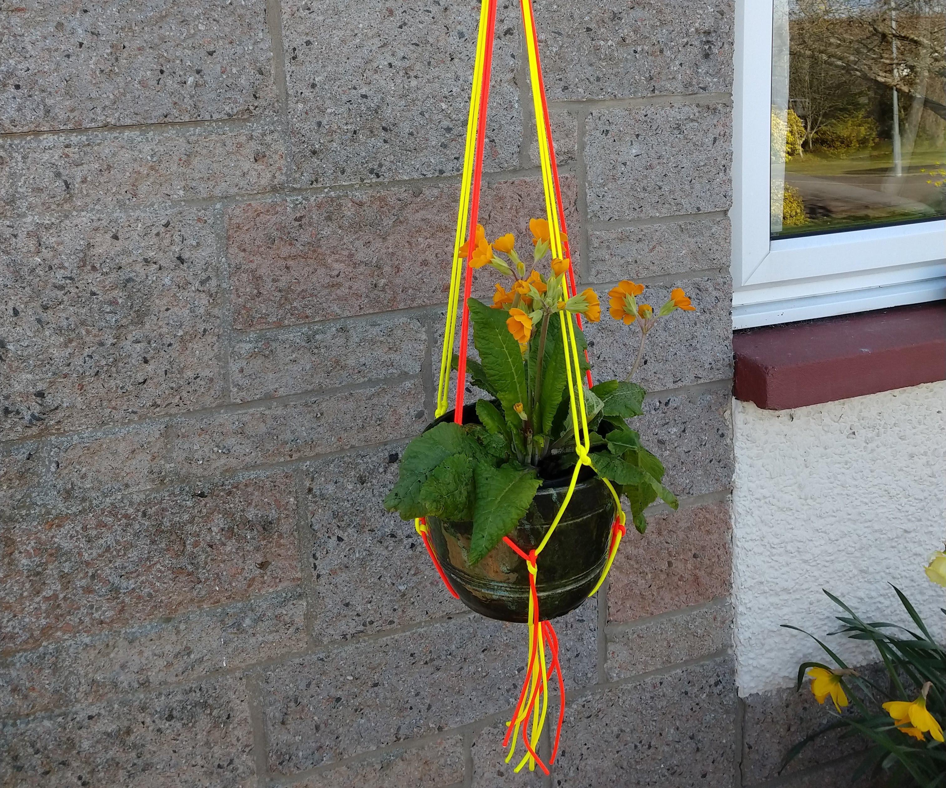 How to Make a Paracord Plant Hanger