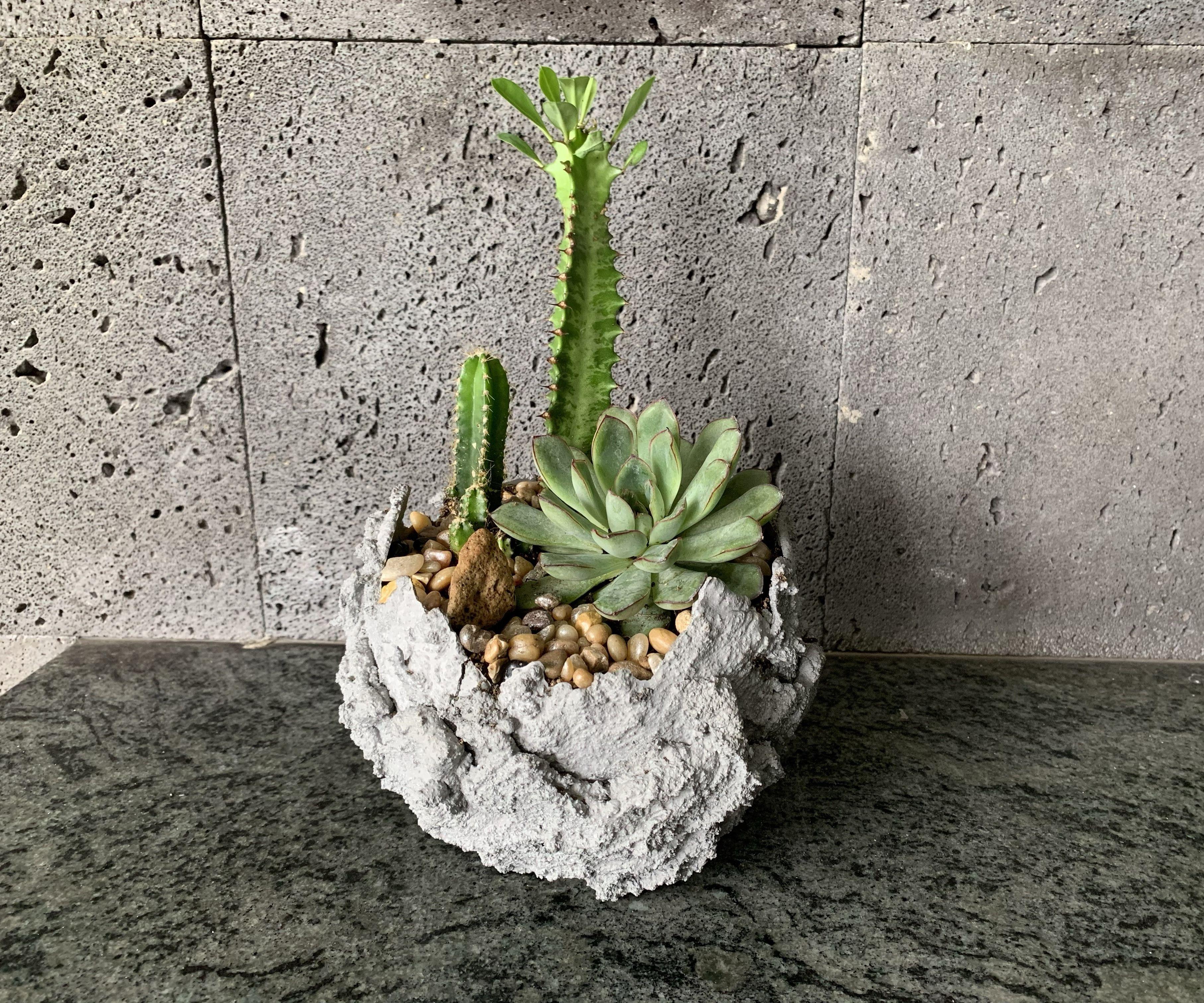 Cement Decor Planters