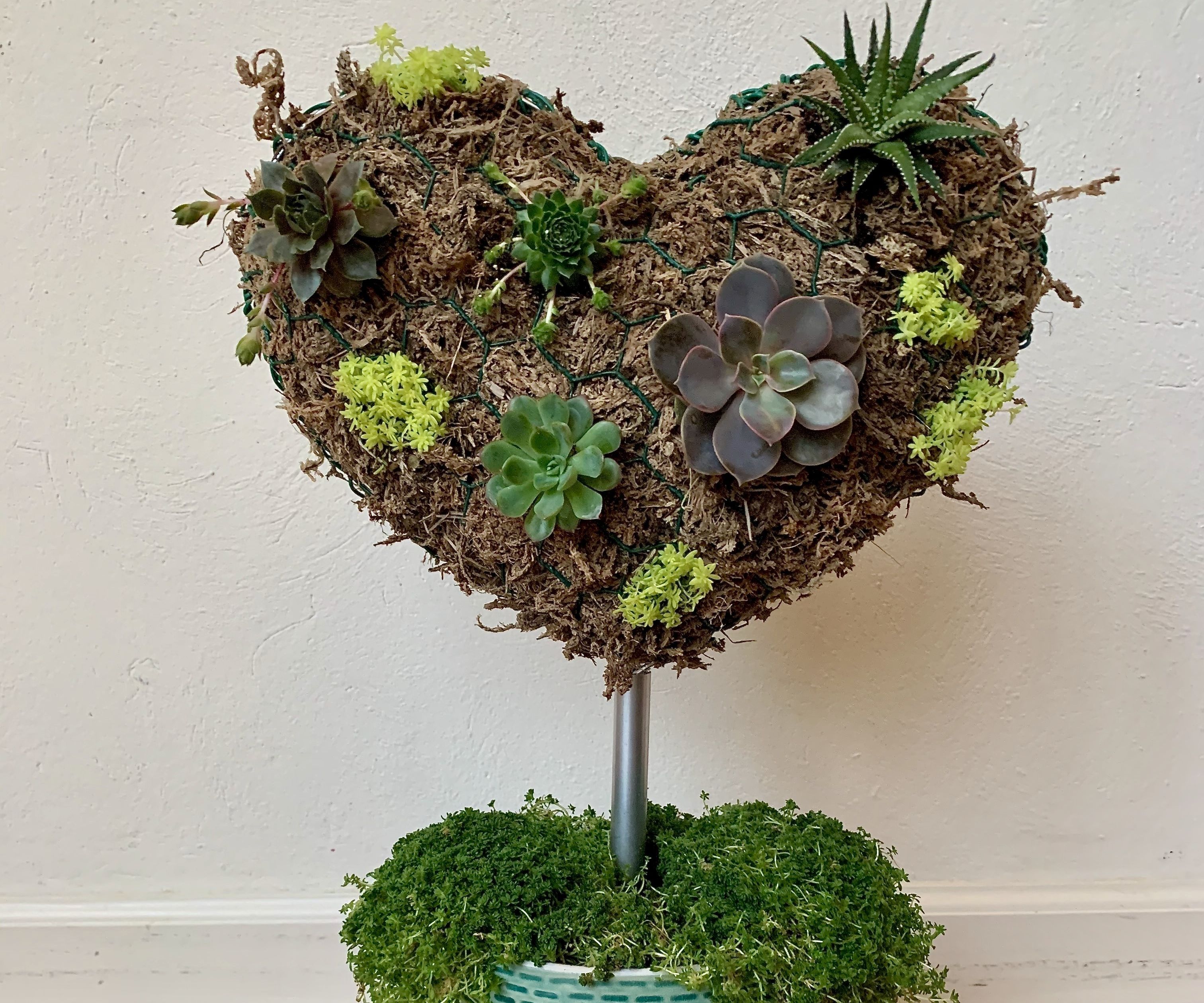 Living Heart Succulent Planter
