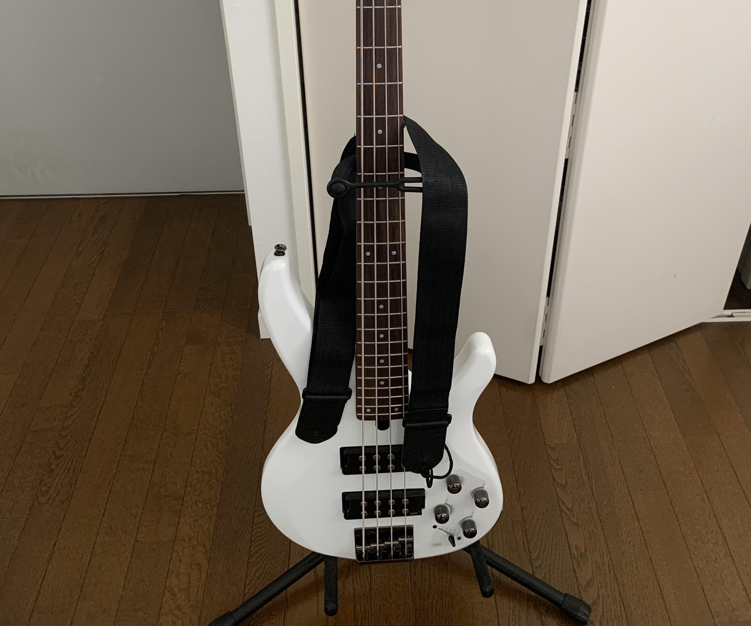 The Basics of the Bass Guitar 