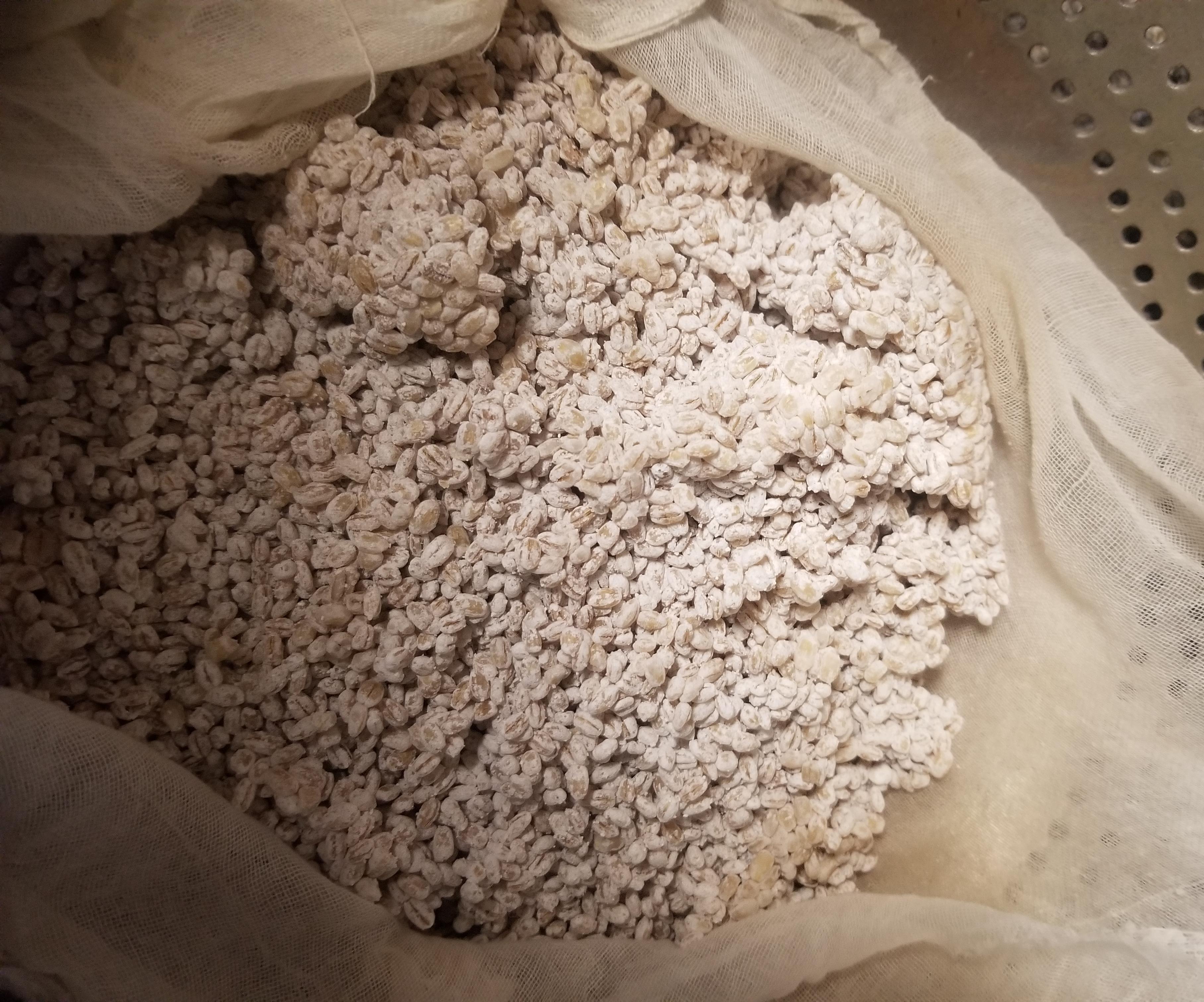 Making Koji - a Foundation of Fermentation