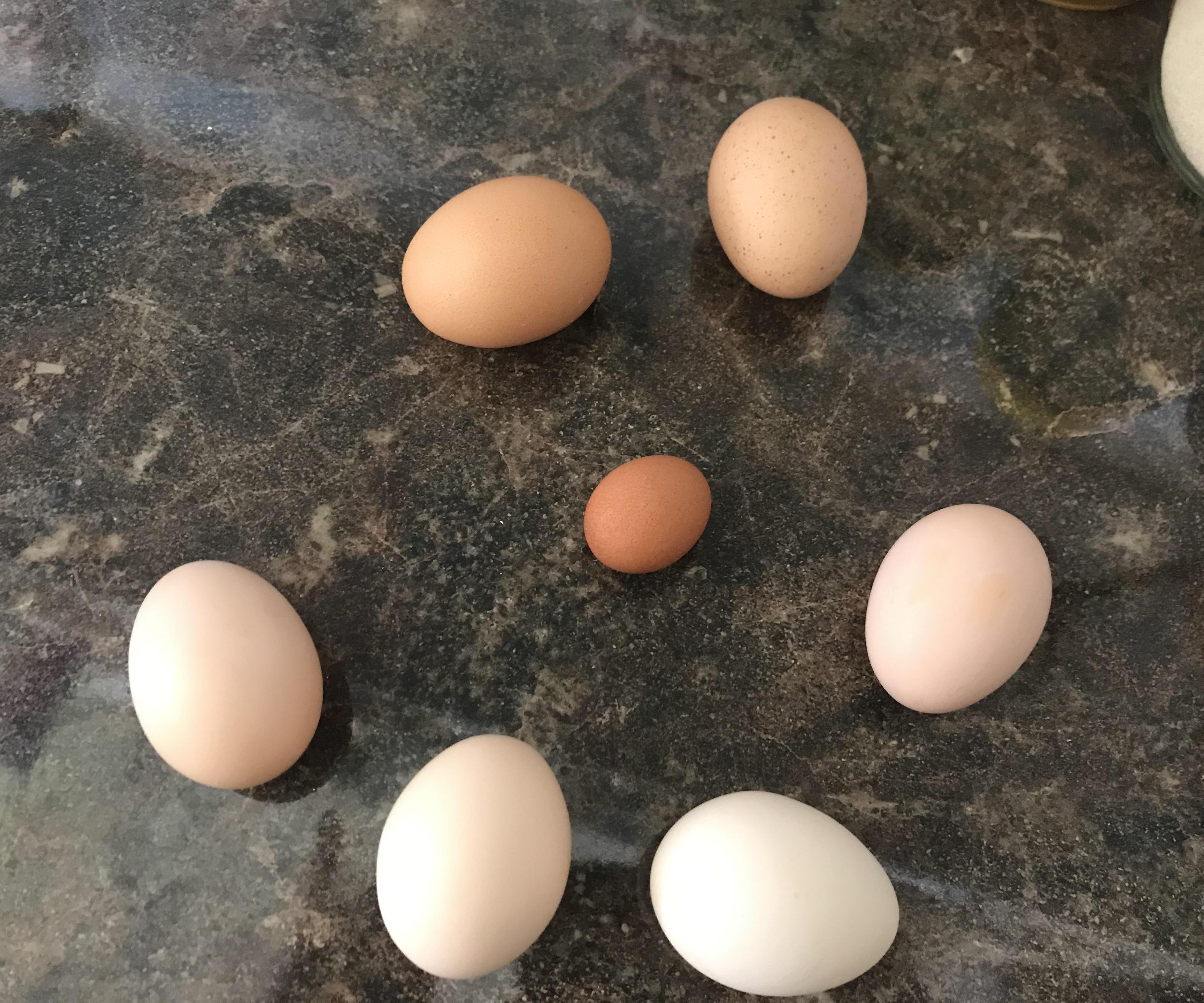 Gluten Free Honey Bread