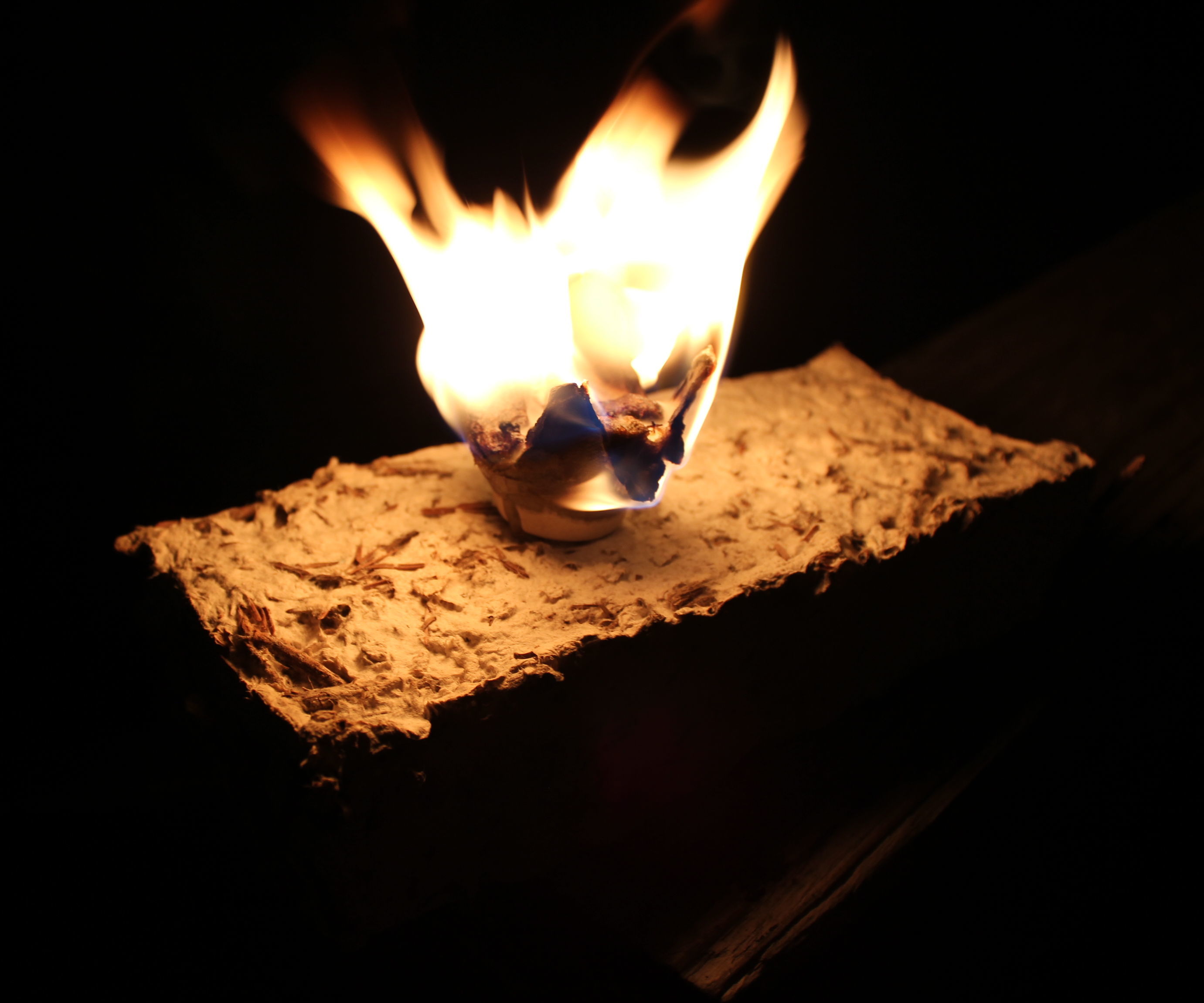 Recycled Fire Starter