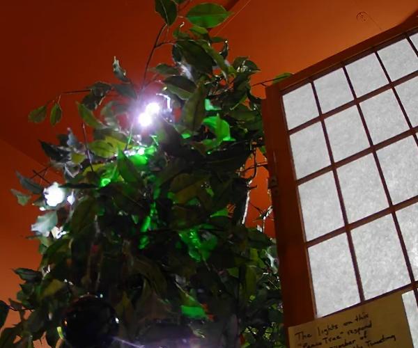 Peace Tree - an Internet-responsive String of Lights