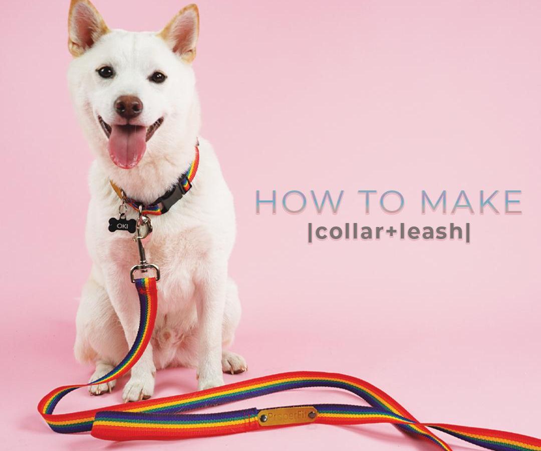 Collar + Leash