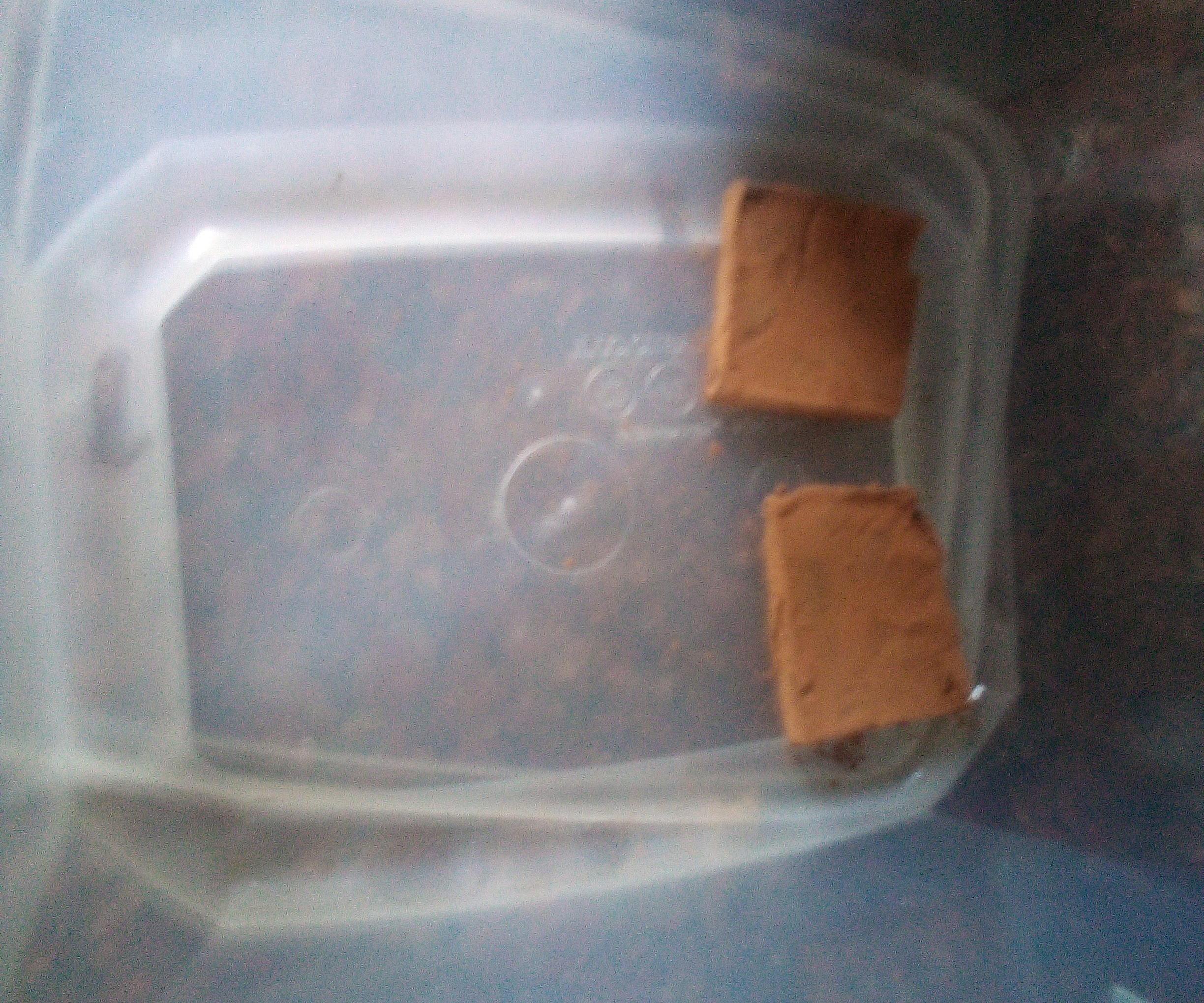 Easy Vegan Chocolate/Peanut Butter Fudge