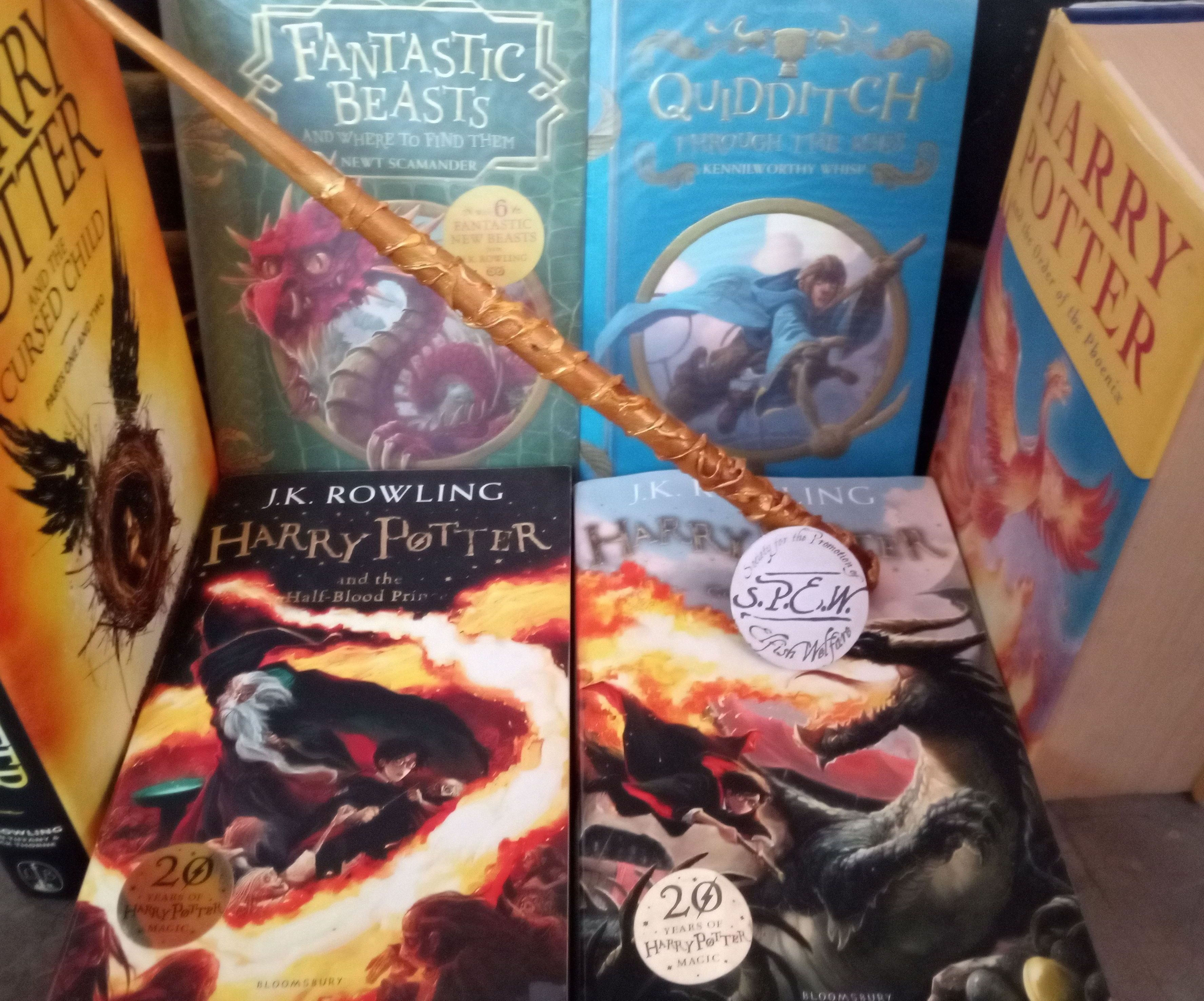 Hermione Granger's Wand and S.P.E.W Badge