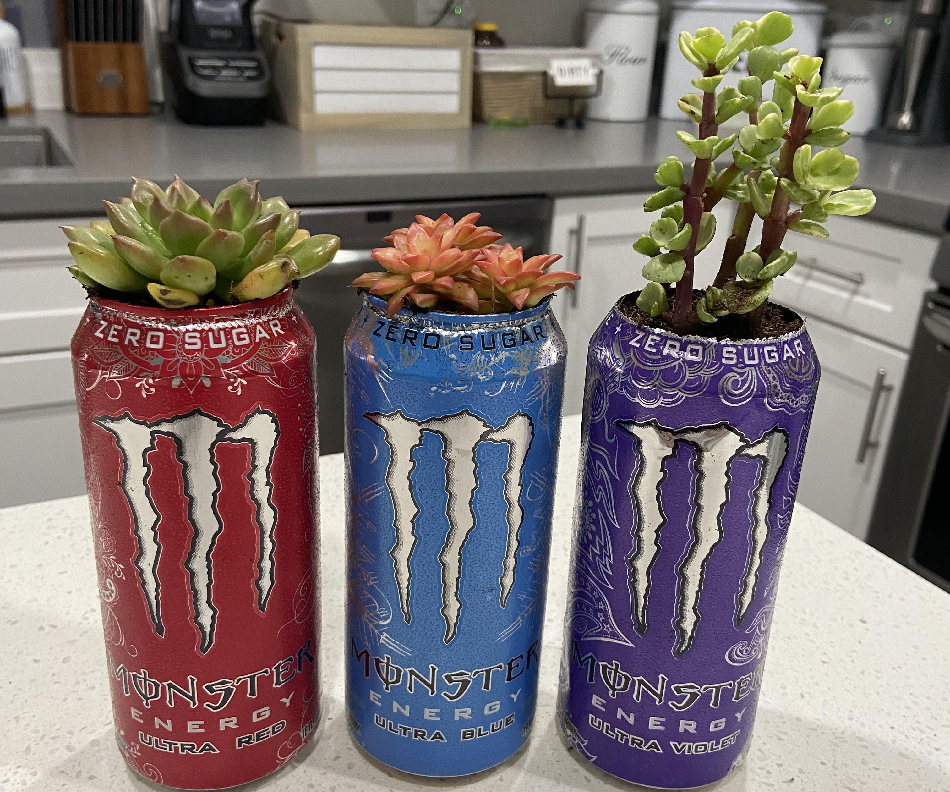 Monster Energy Plants