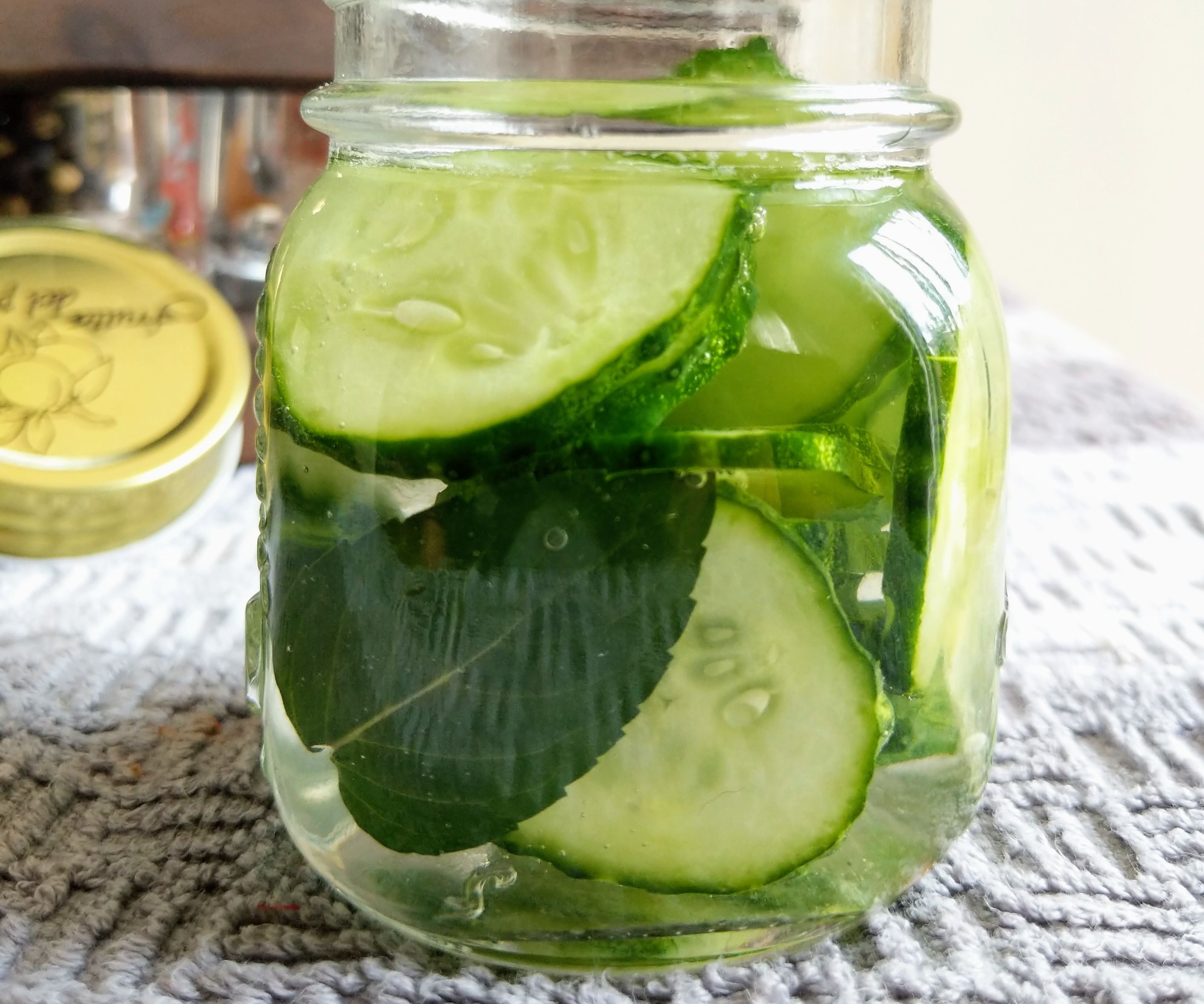 DIY Cucumber Face Toner