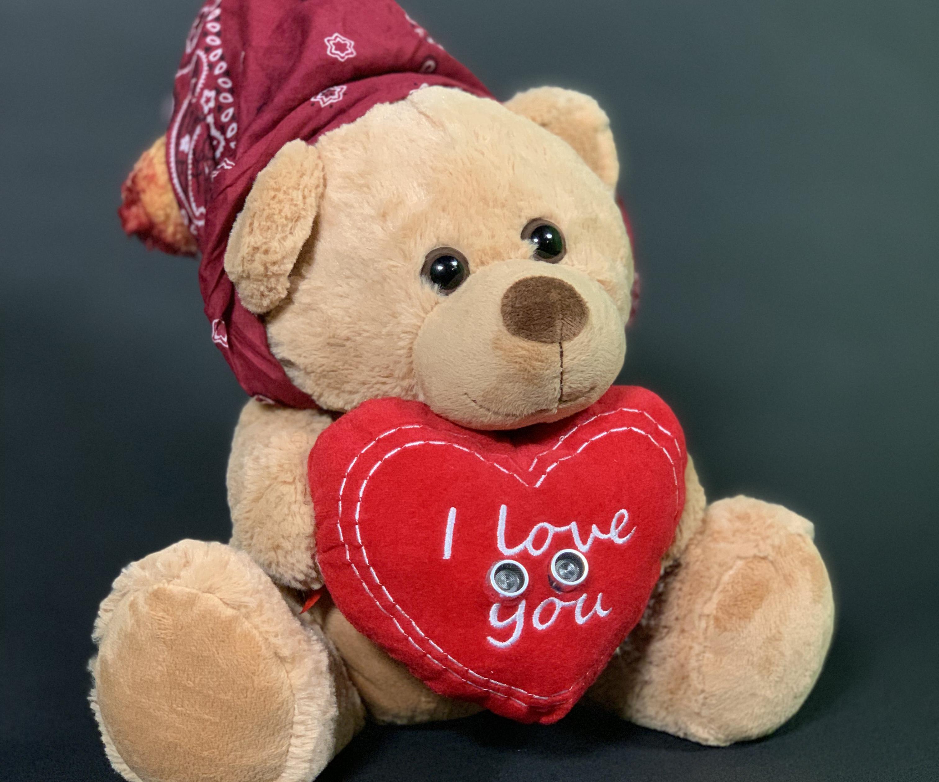 BOBBY the Bear - Arduino Halloween Decoration