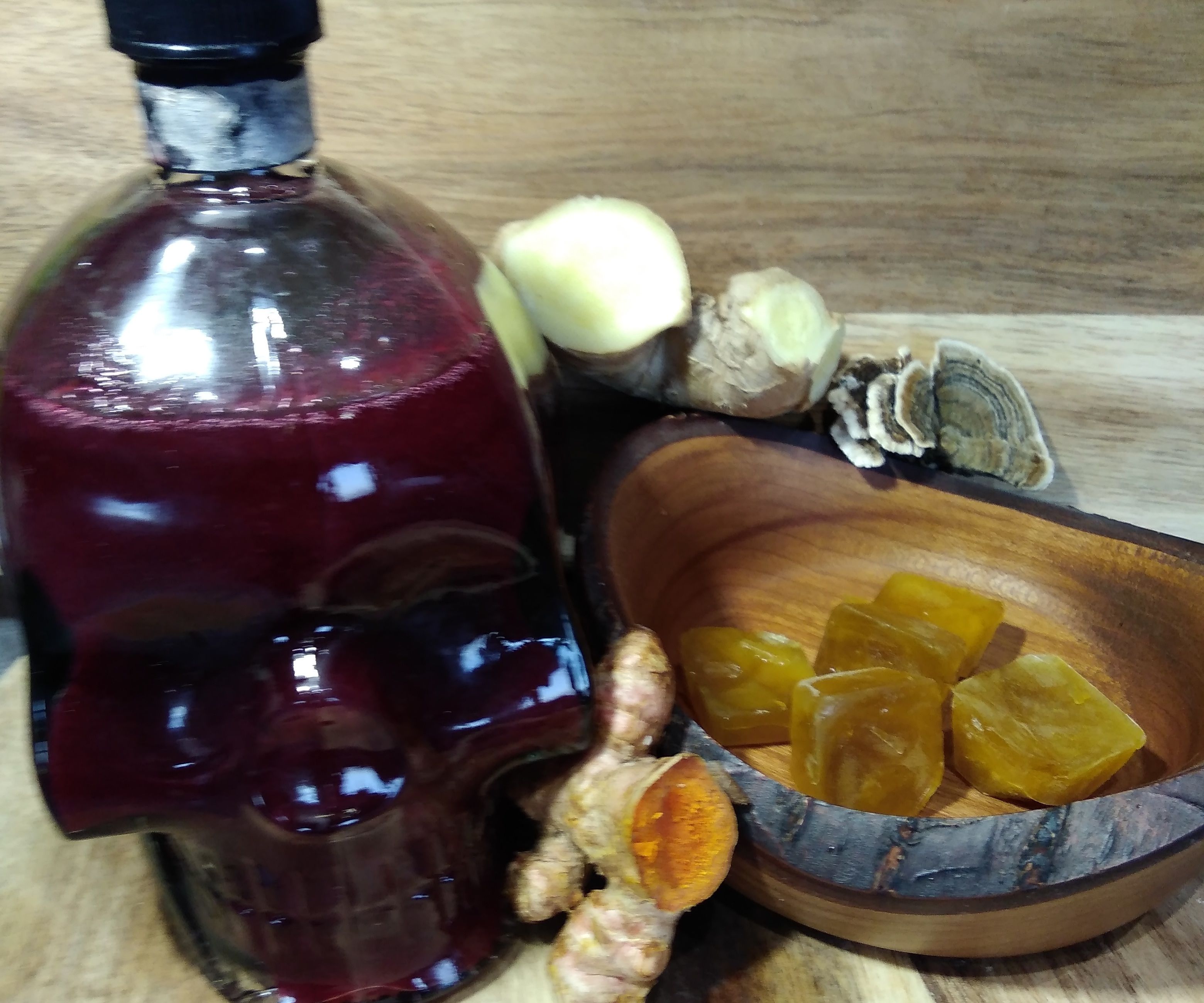 Turkey Tail Mushroom Stock and Syrup