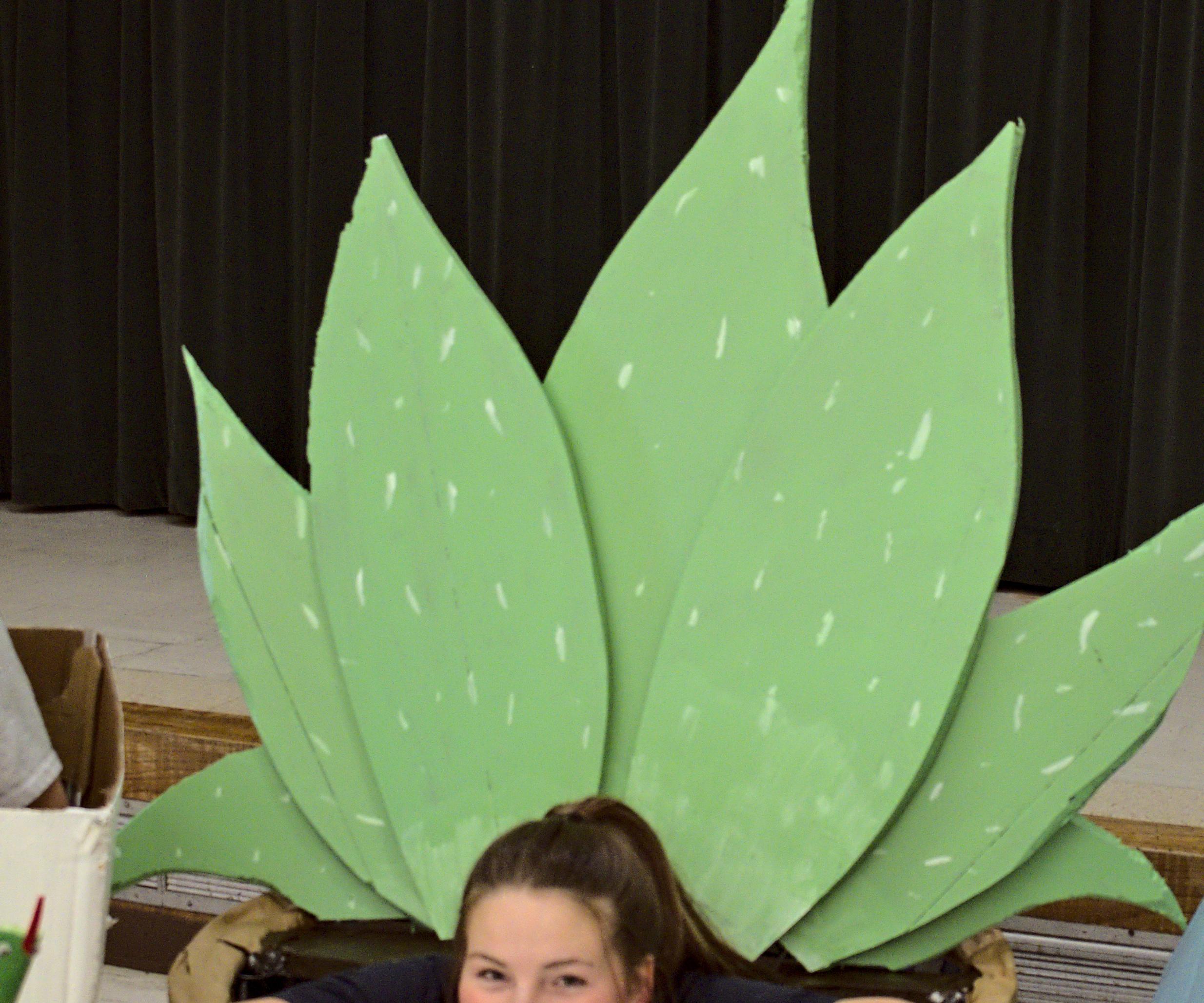 Aloe Vera Plant Costume