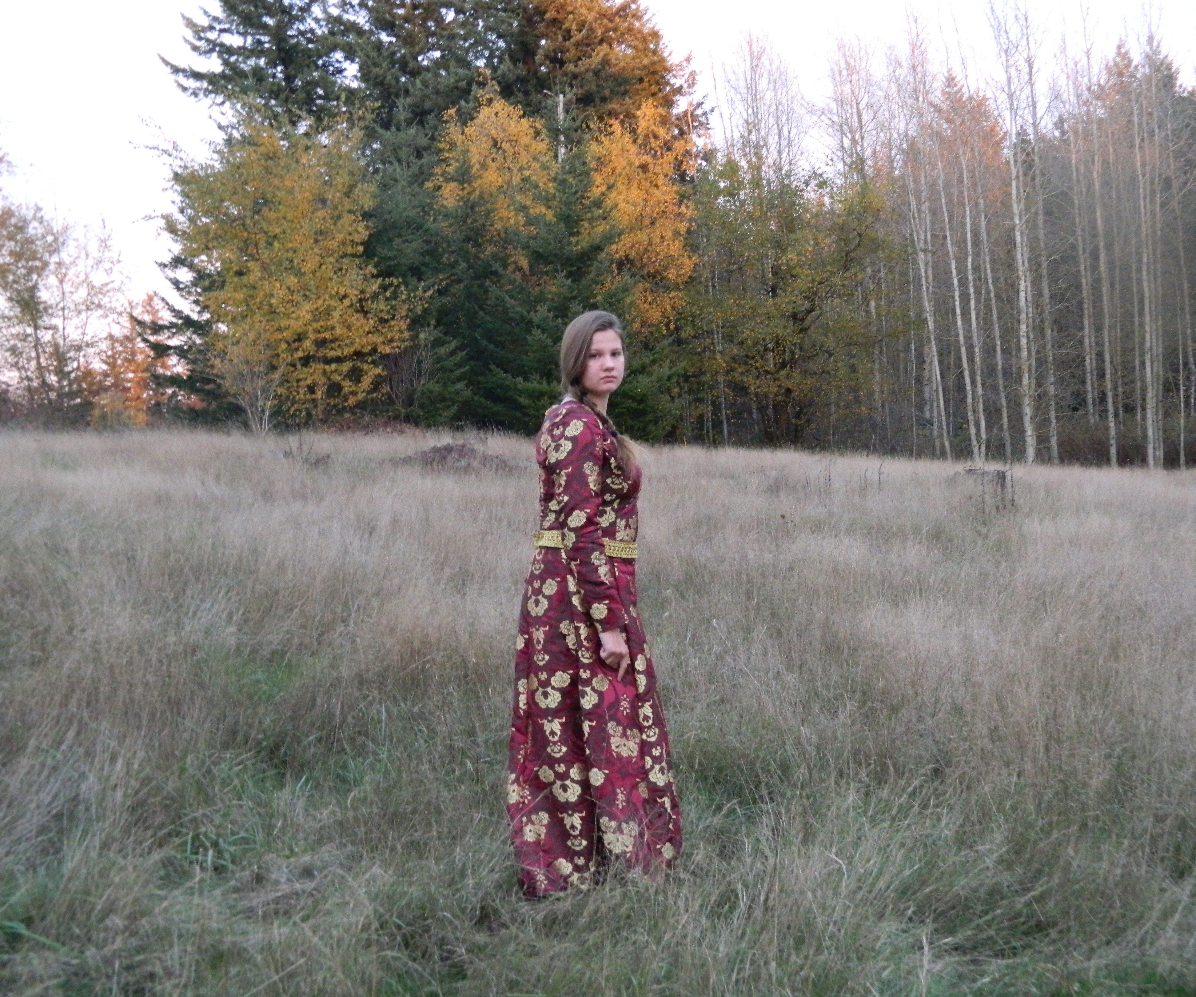 Rapunzel's Dress From the Golden Braid