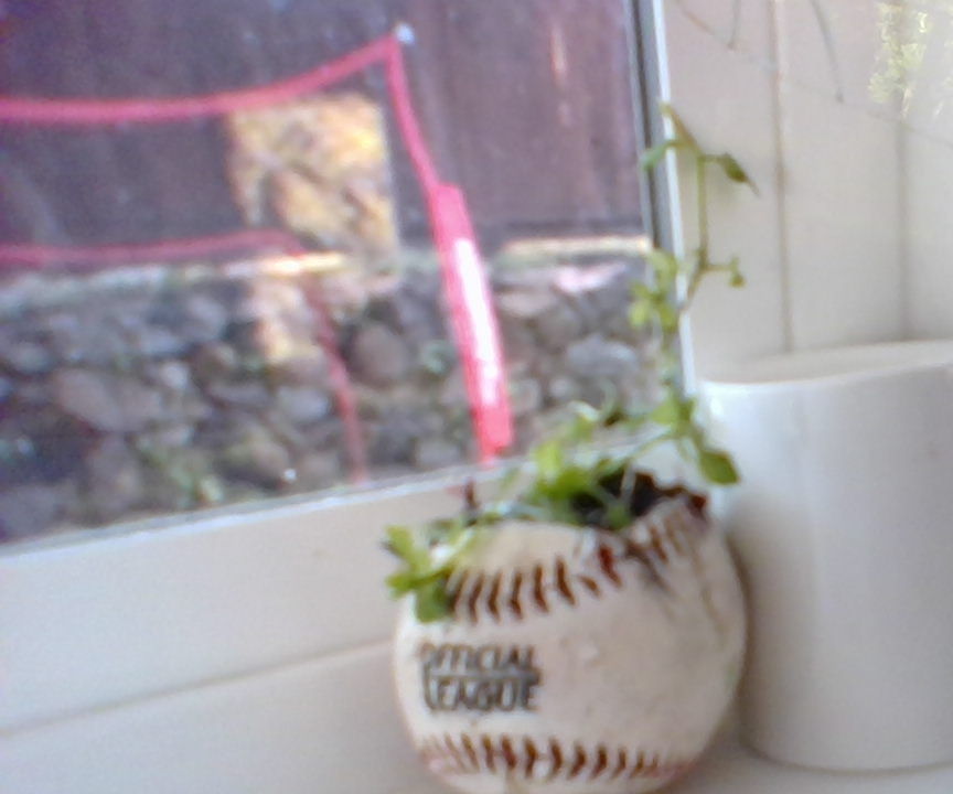 Baseball Plant Pot