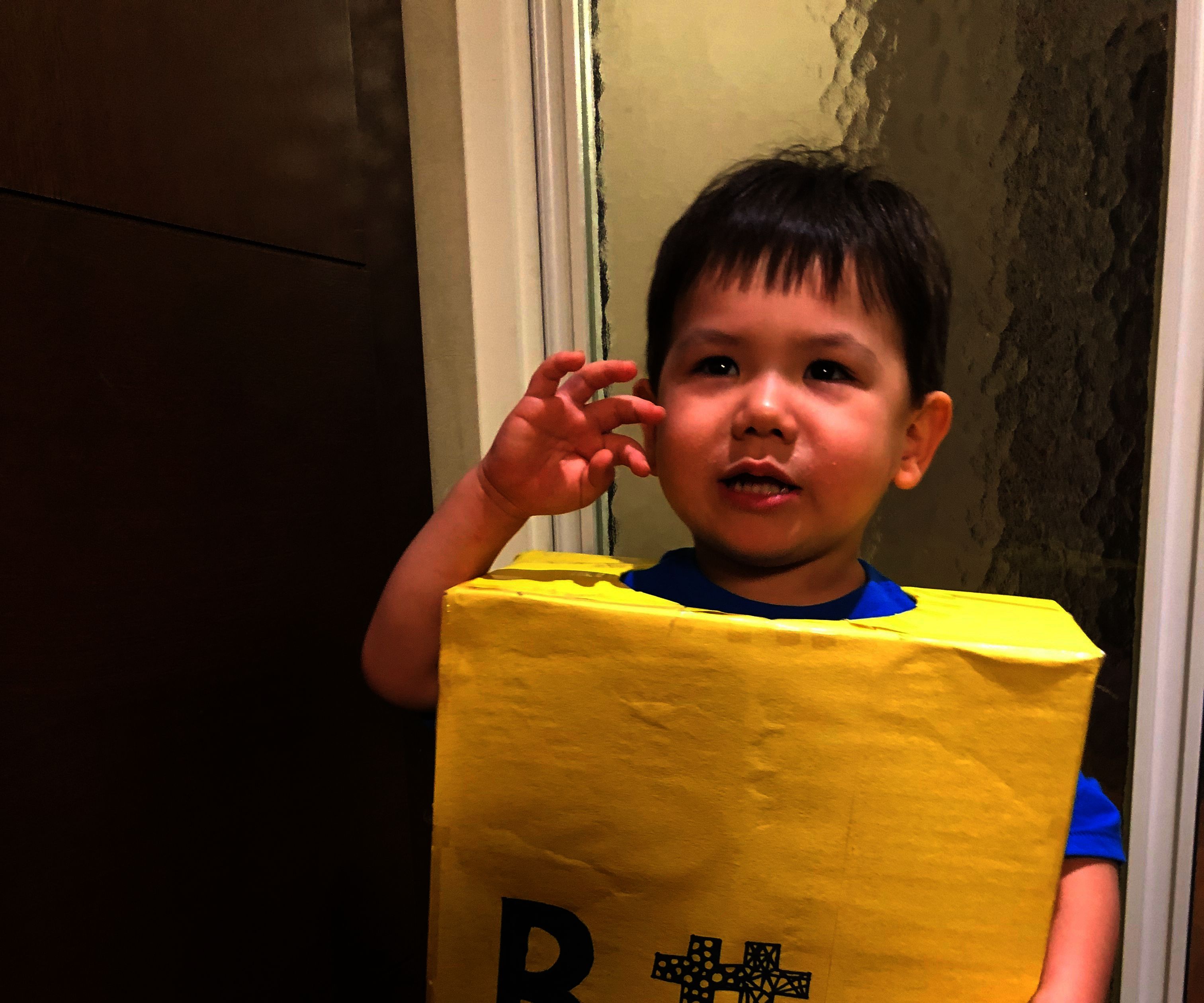 Simple Box Costume