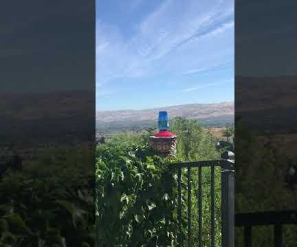 Up-class a Broken Hummingbird Feeder