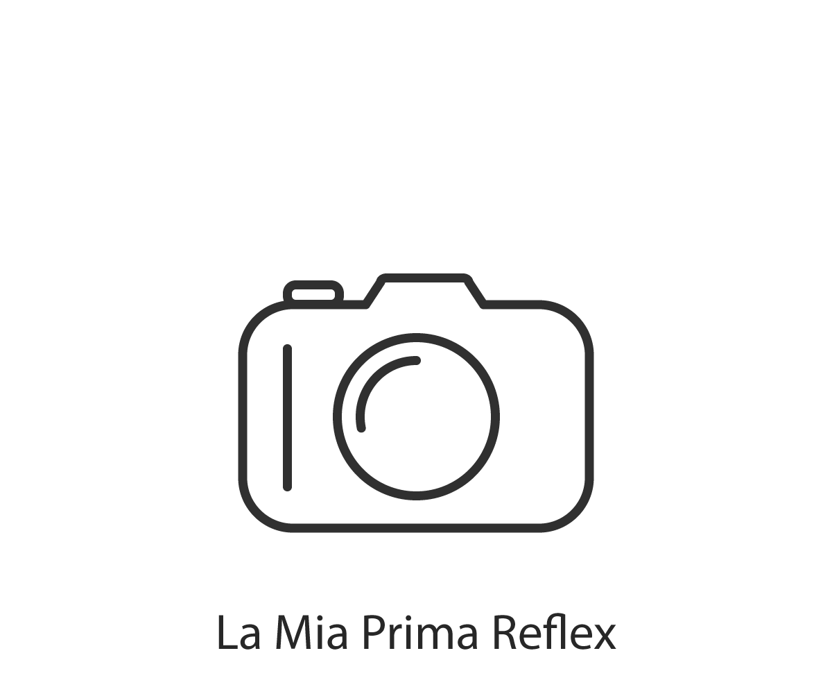 My First Reflex, Which One to Choose?