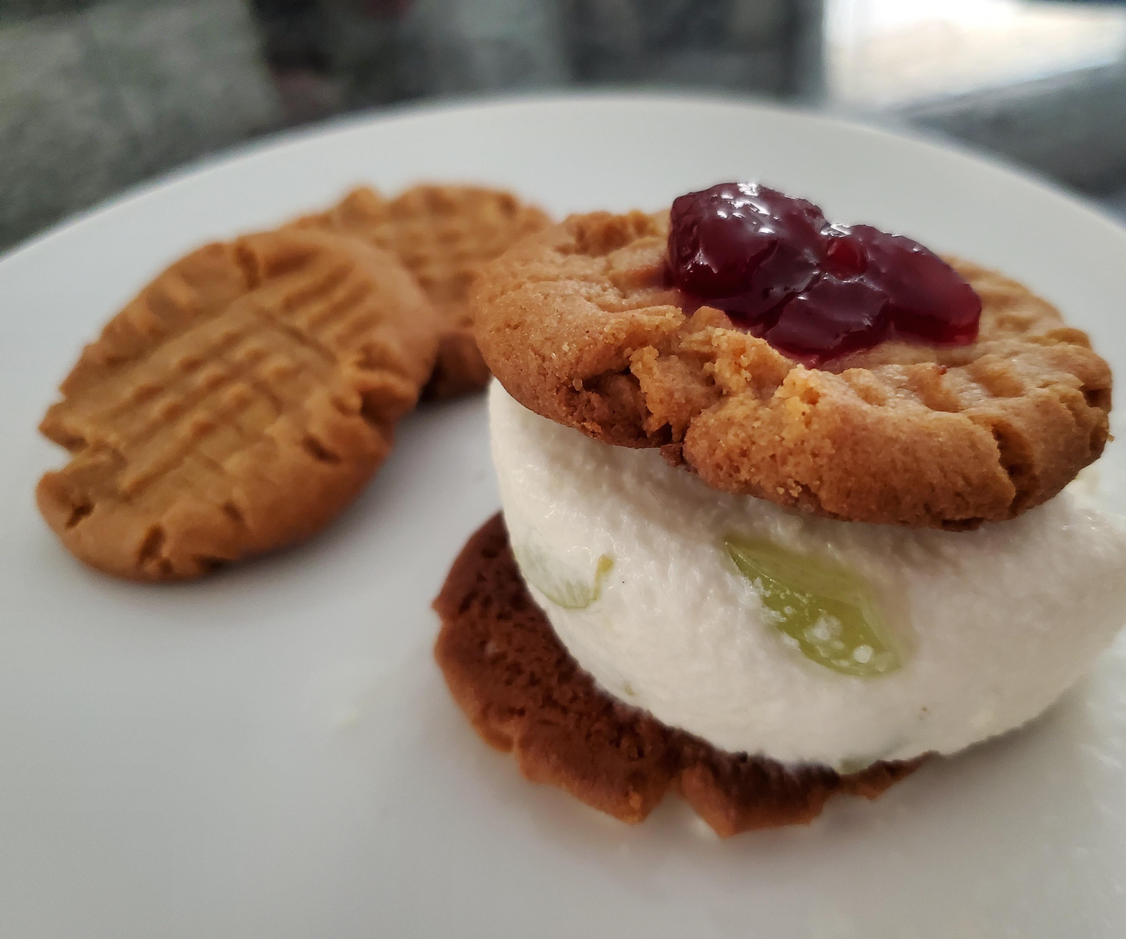 Fruity Ice Cream Sandwich