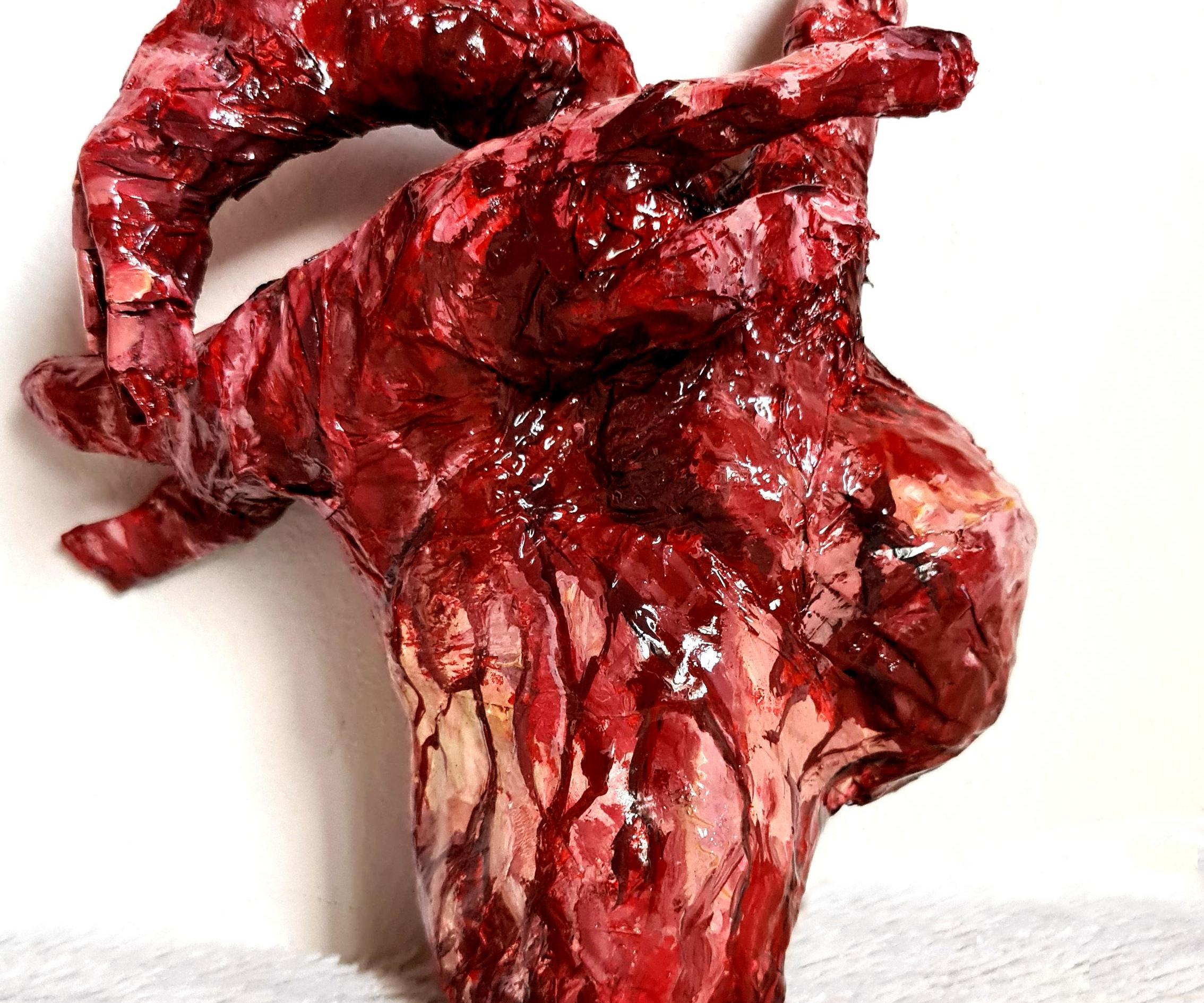 Human Heart Made of Paper