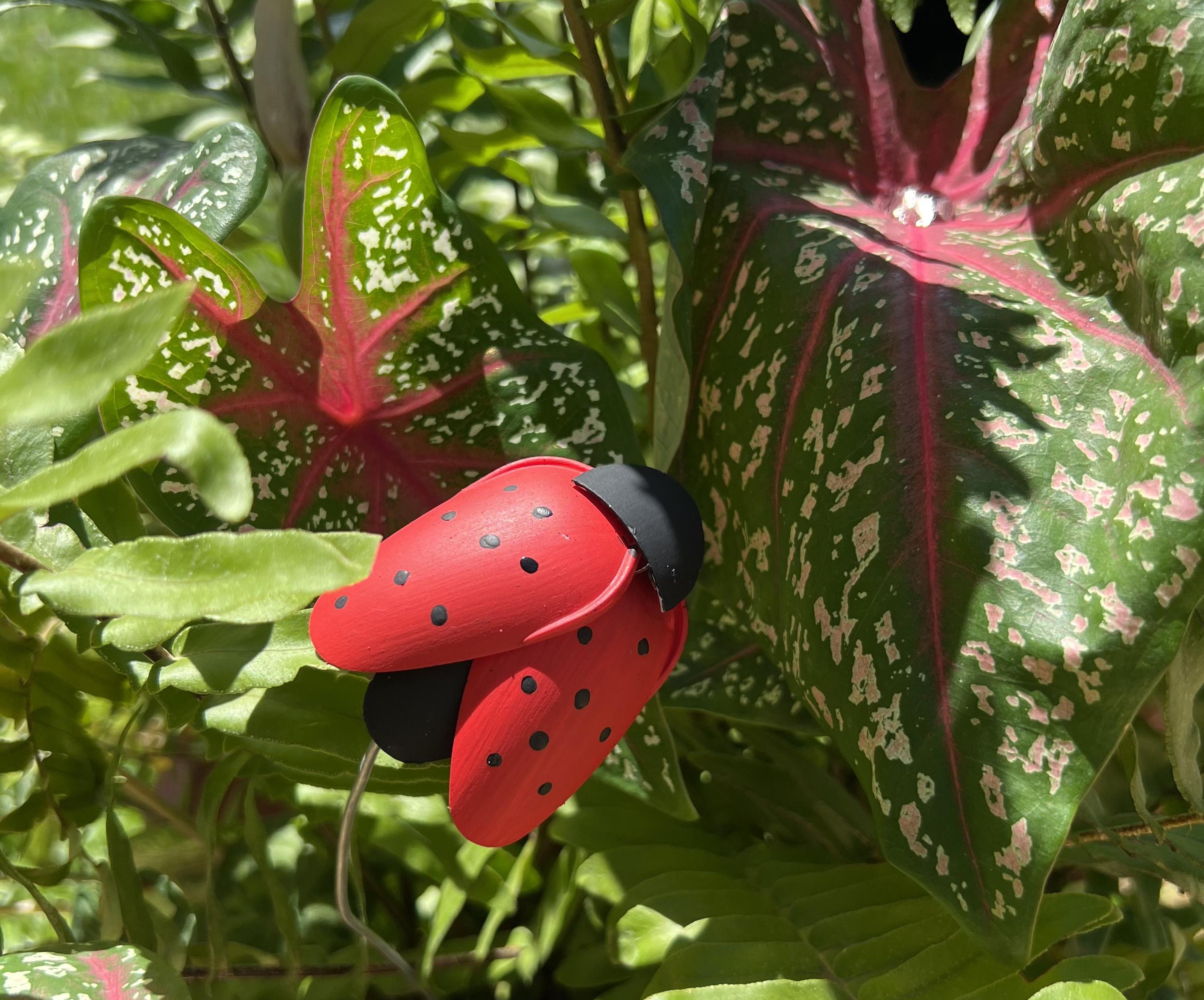 Ladybug for the Garden 