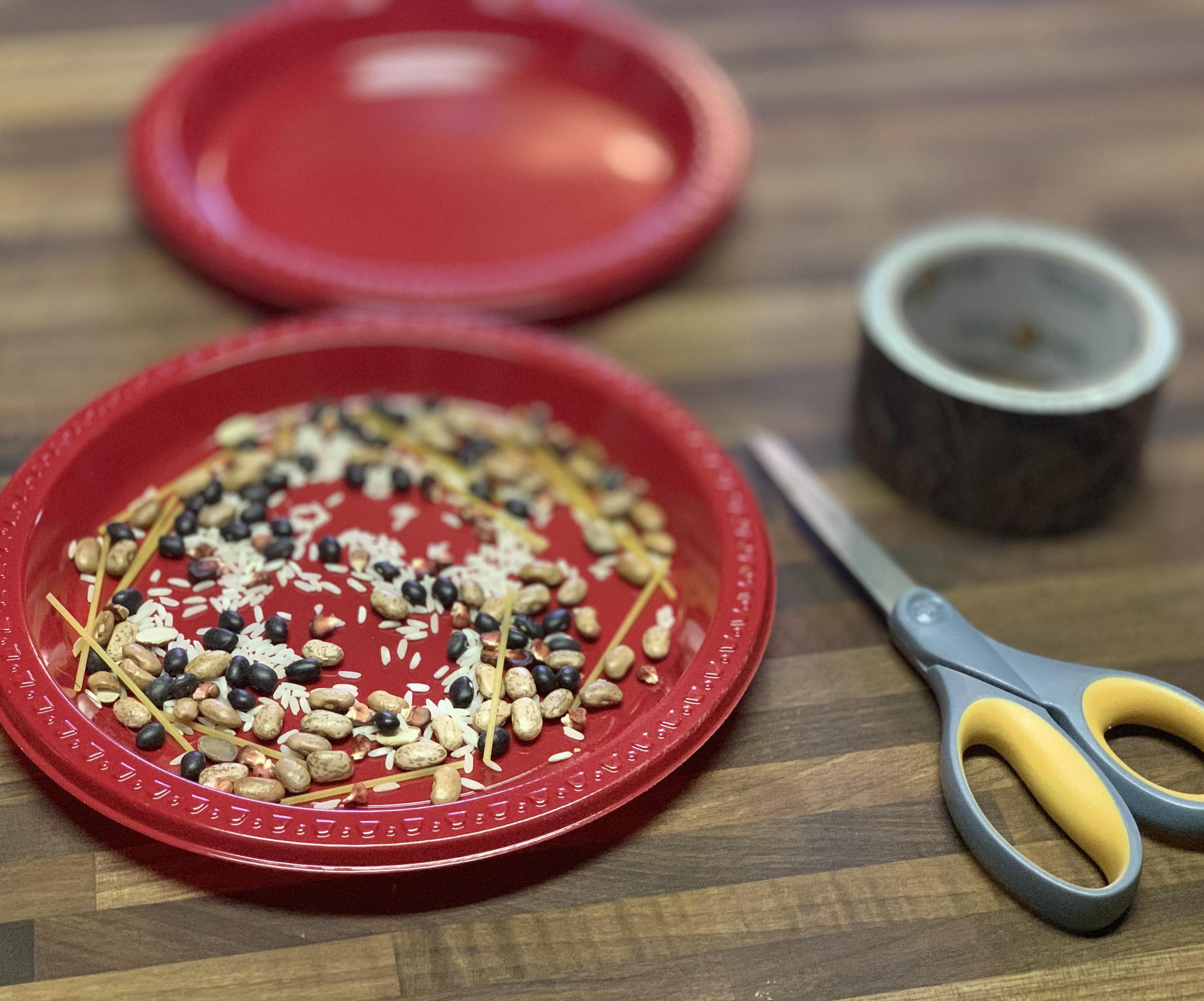 Homemade Sound Maker & Shaker - Quick Craft for Kids 