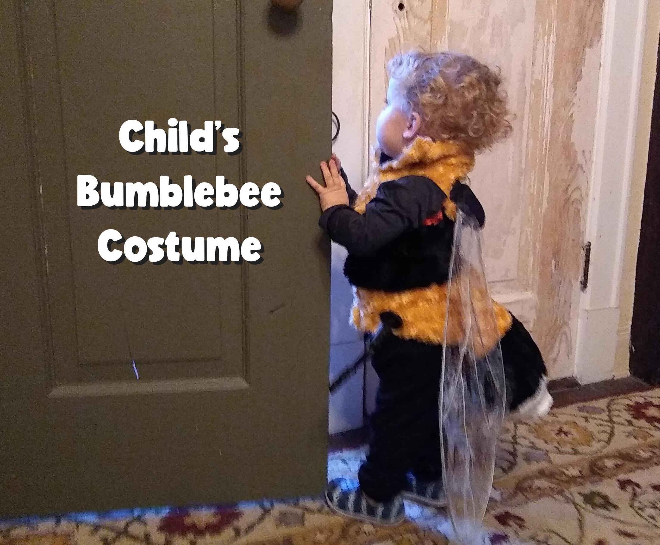 Child's Bee Costume