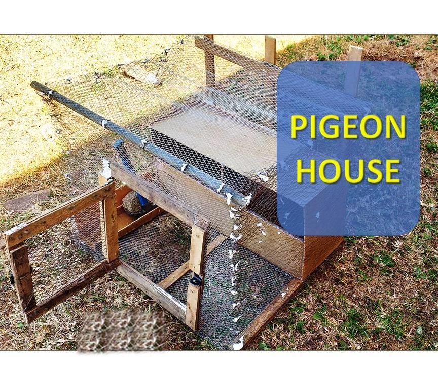 Pigeon House