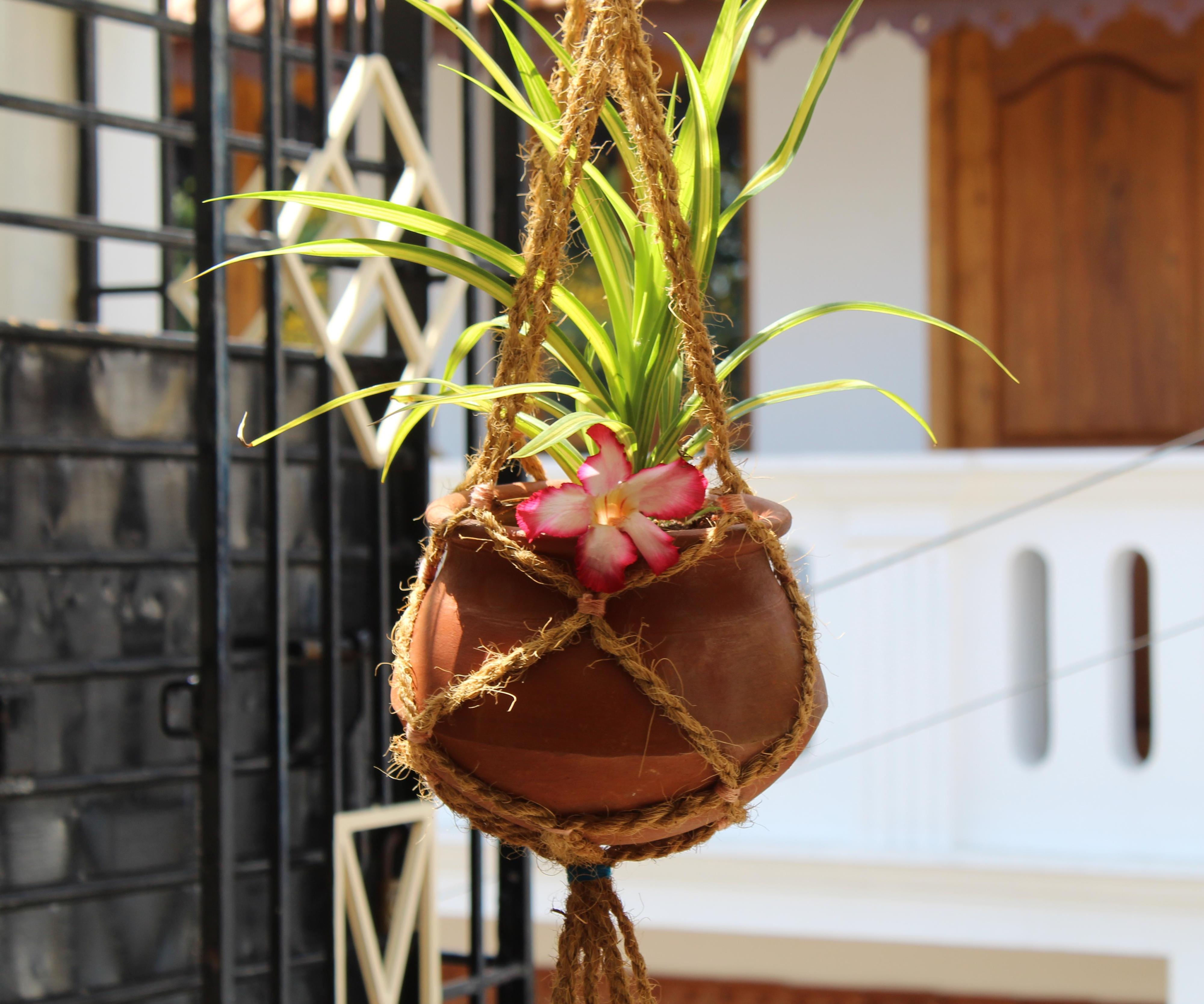 DIY Jute Rope Plant Hanger