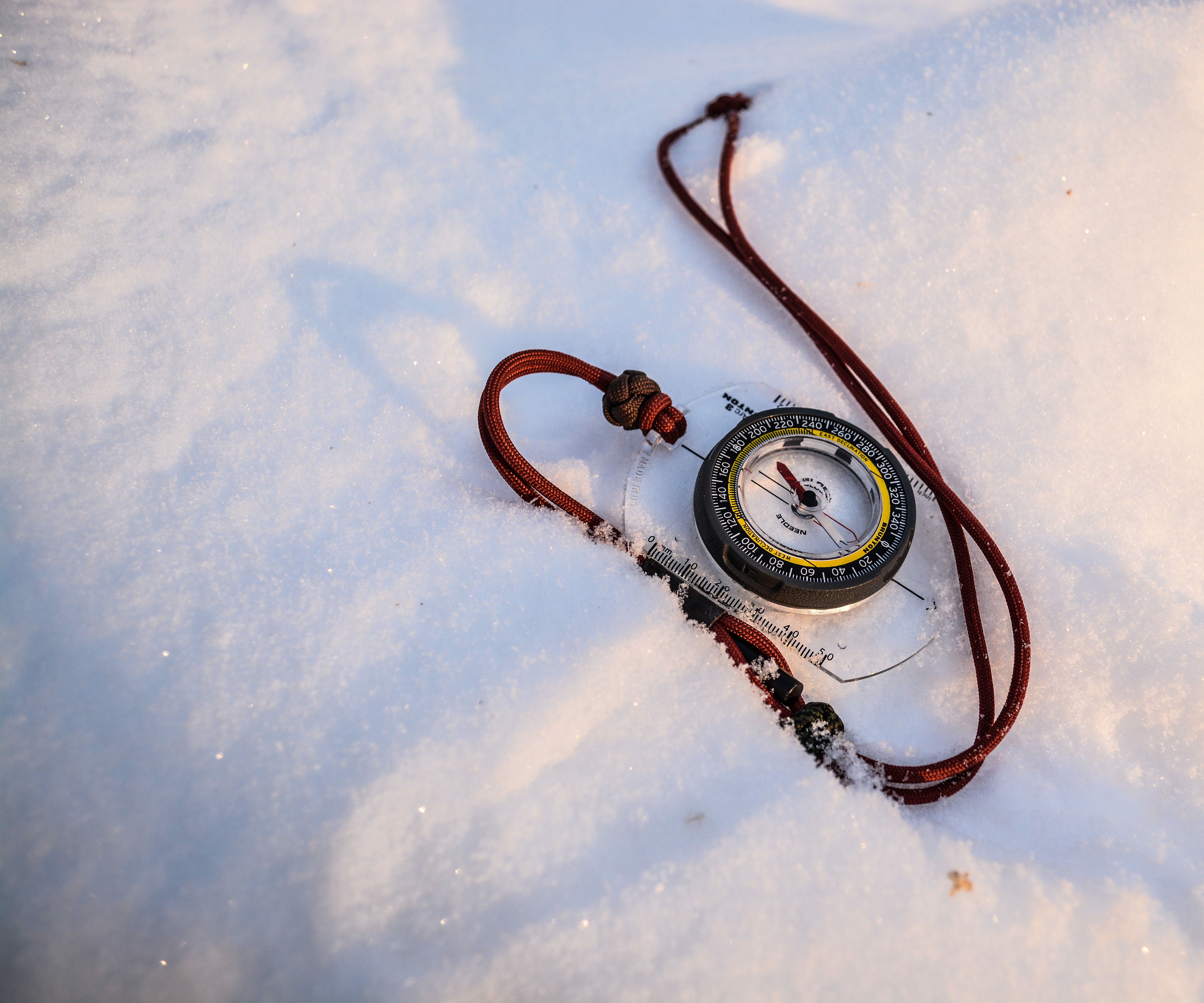 How To Live In The Woods, Long Term Winter Edition