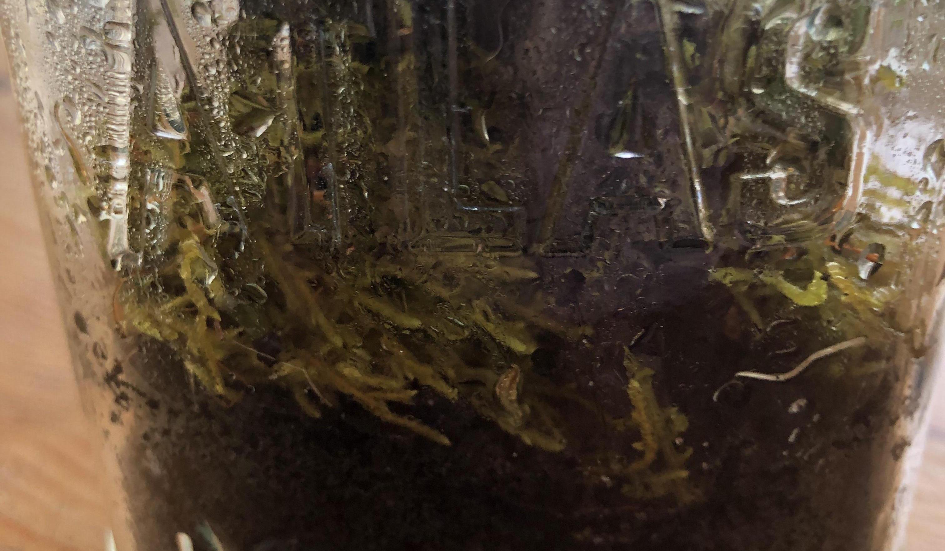 How to Make a Closed Terrarium for Free