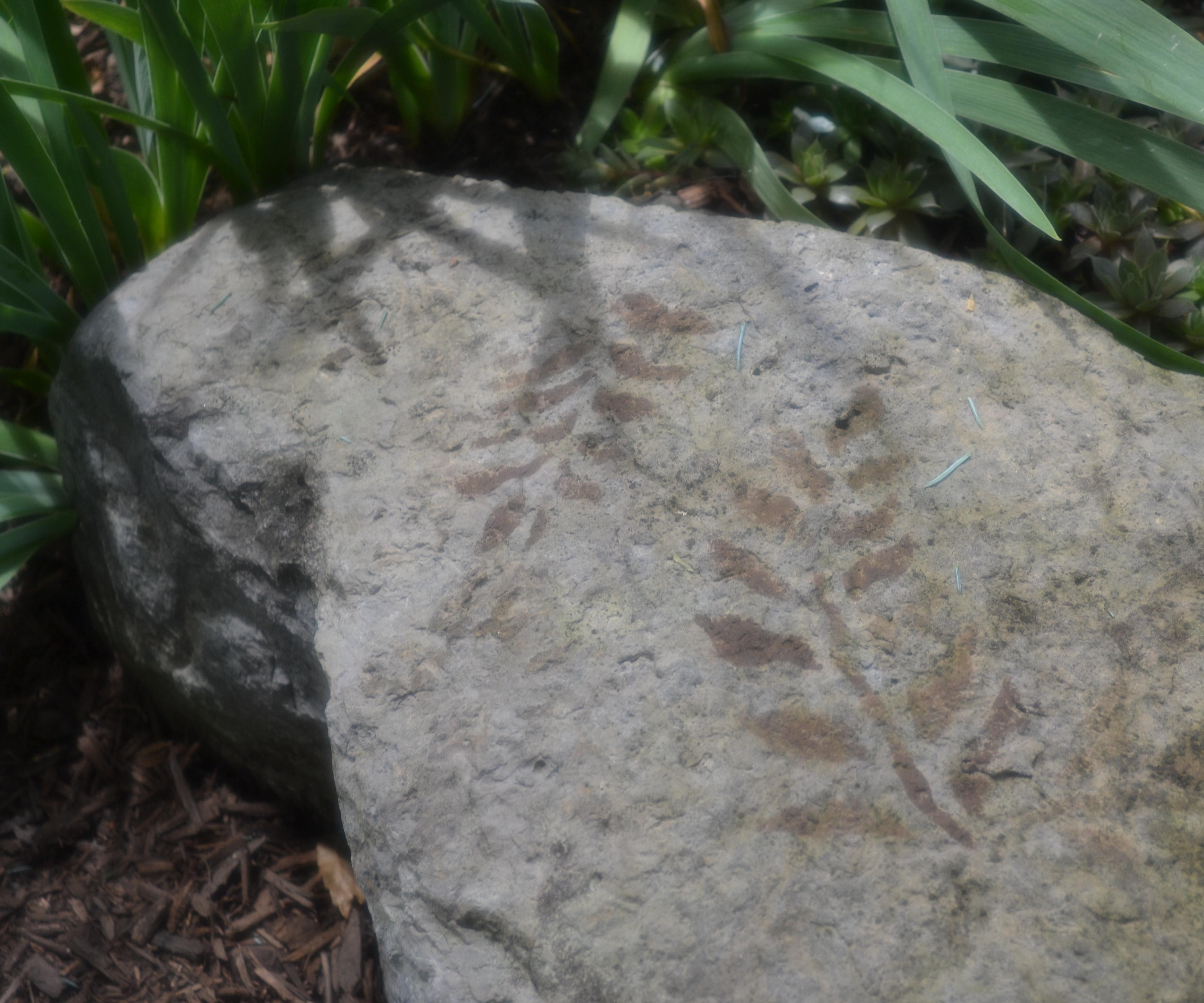 Faux Fossils (Fake Fossils) for Your Garden