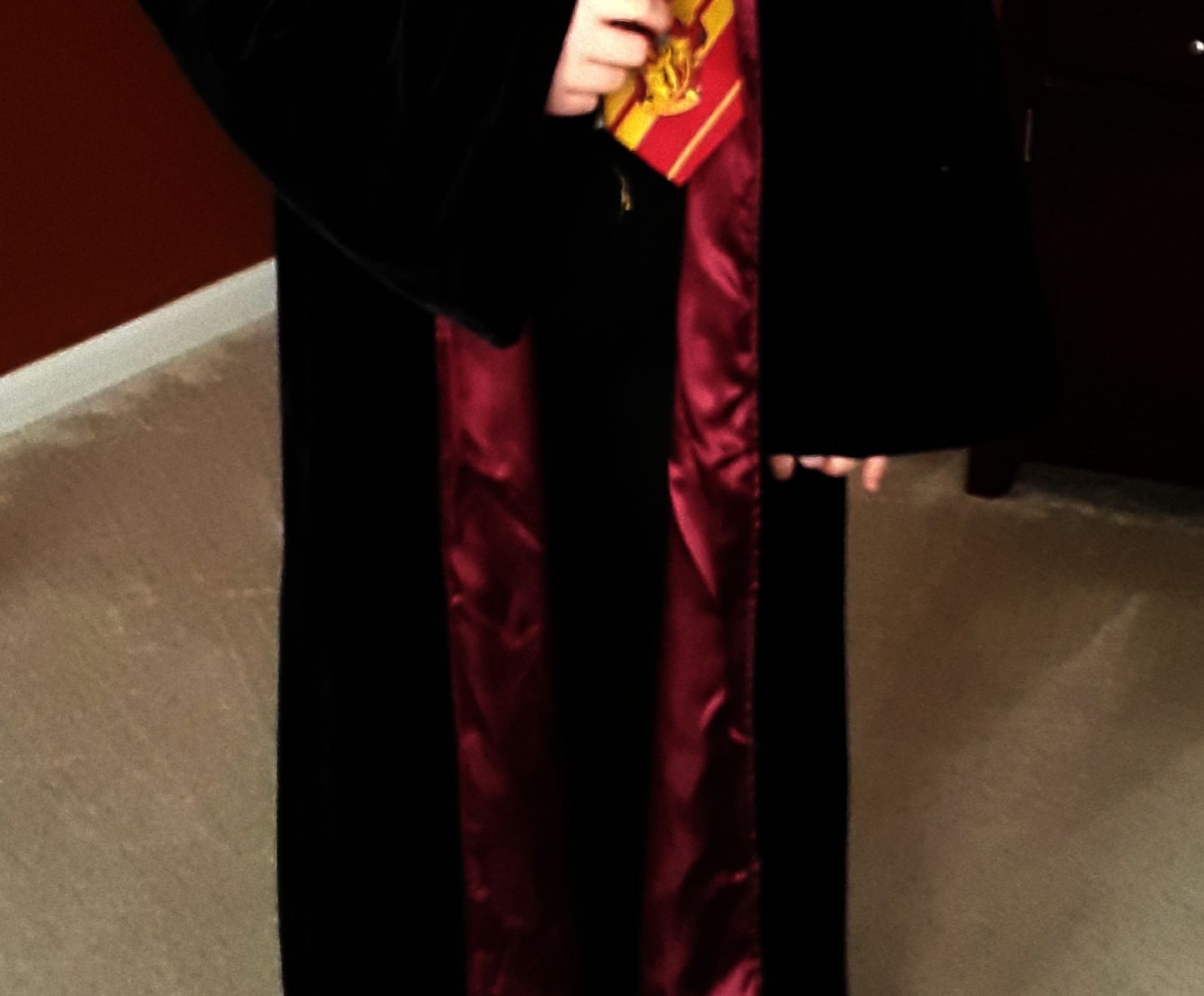 Harry Potter Costume 