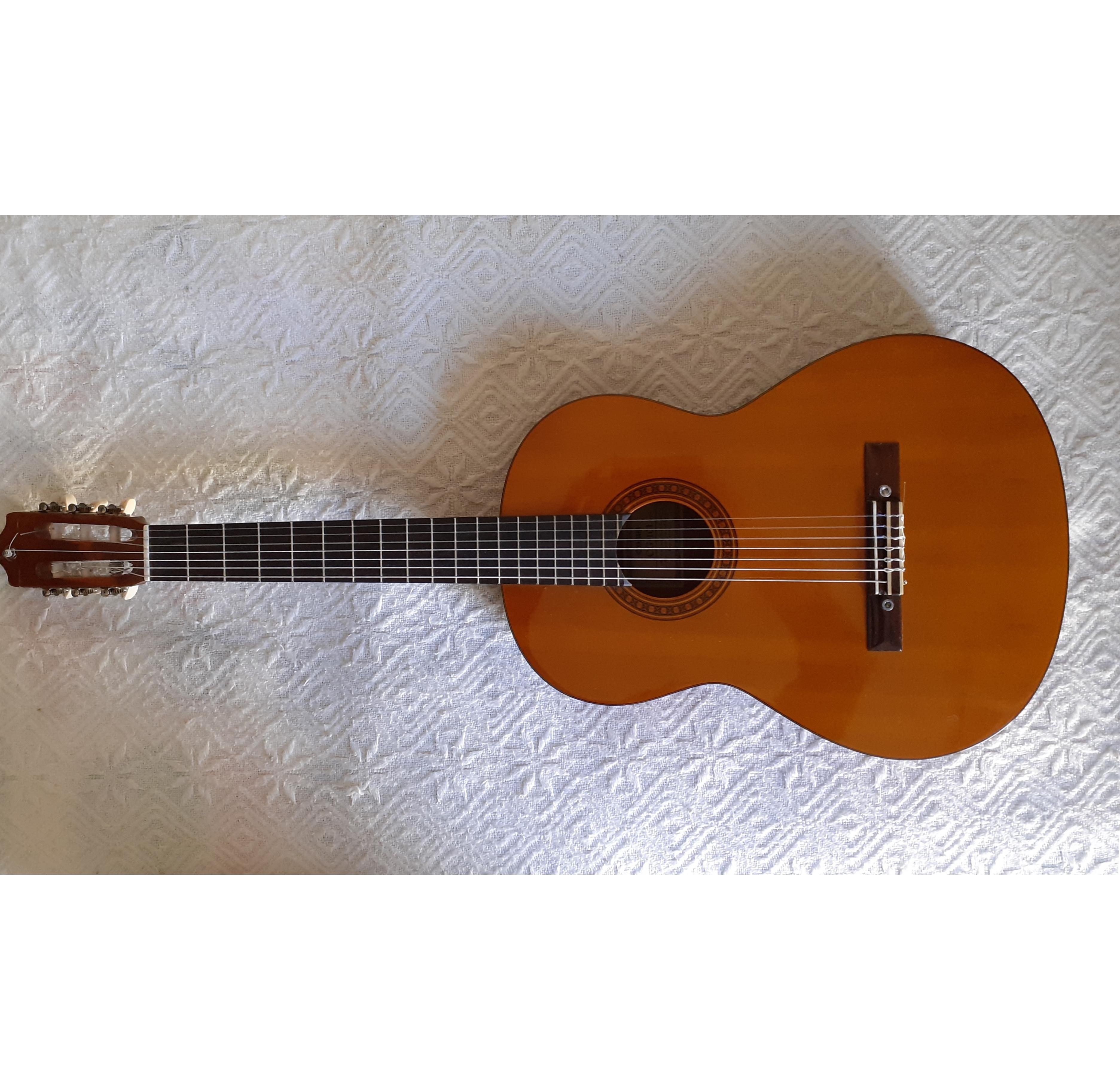 7 String Guitar From a 6 String Guitar. Model Z7.2