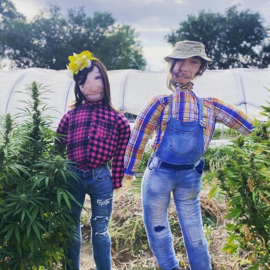 Creepy Scarecrow Replica of Someone You Love