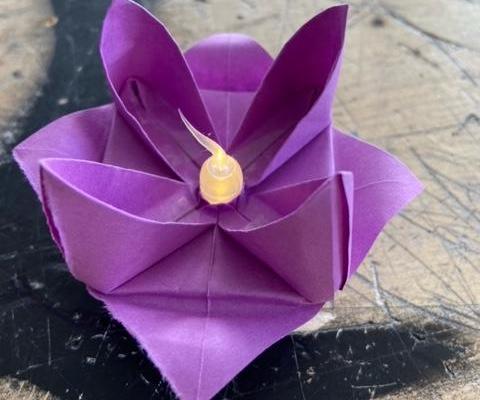 Lotus Flower Tea Light