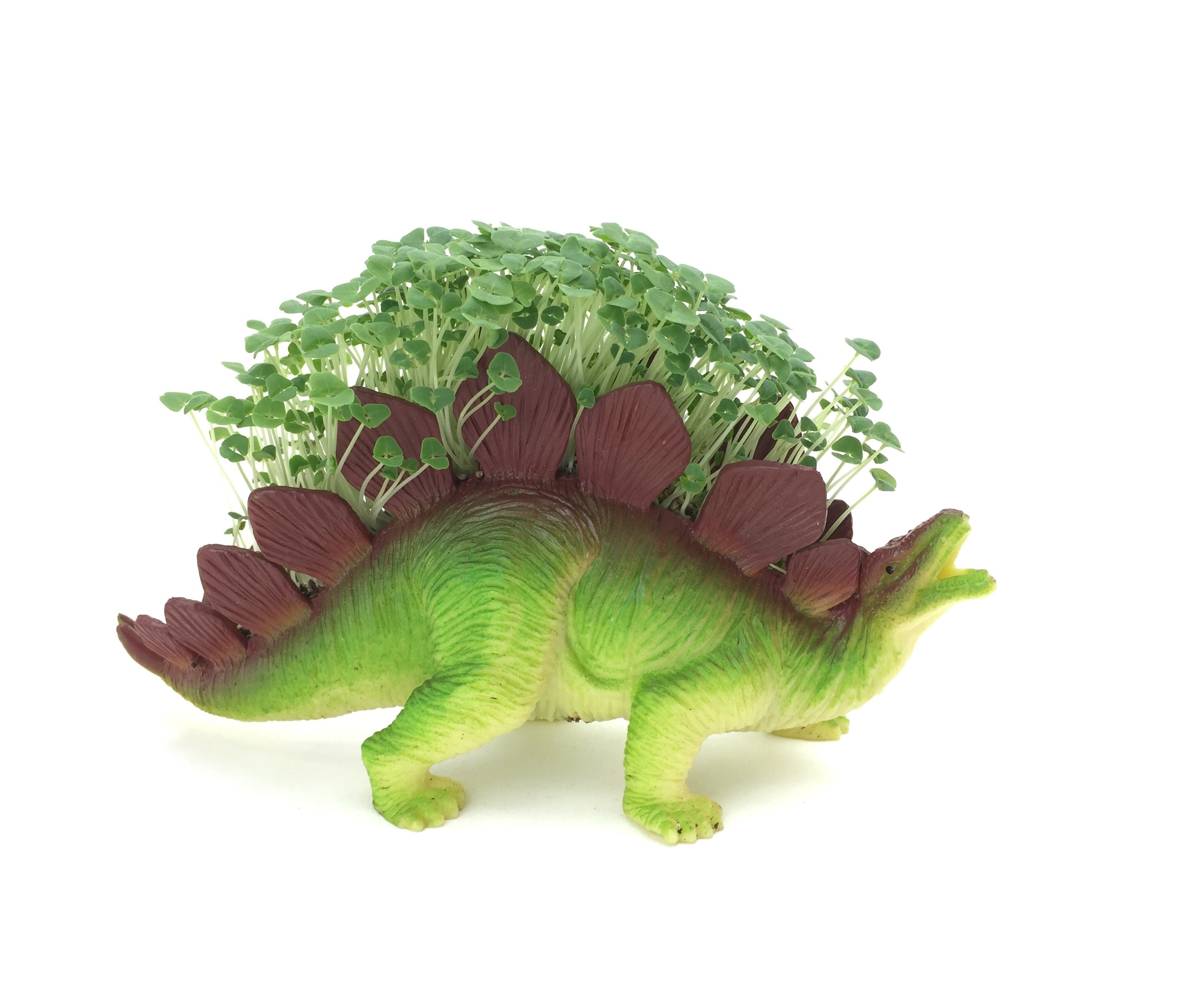 The Mythical Indoor Plantersaur