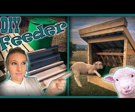 Livestock Feeder